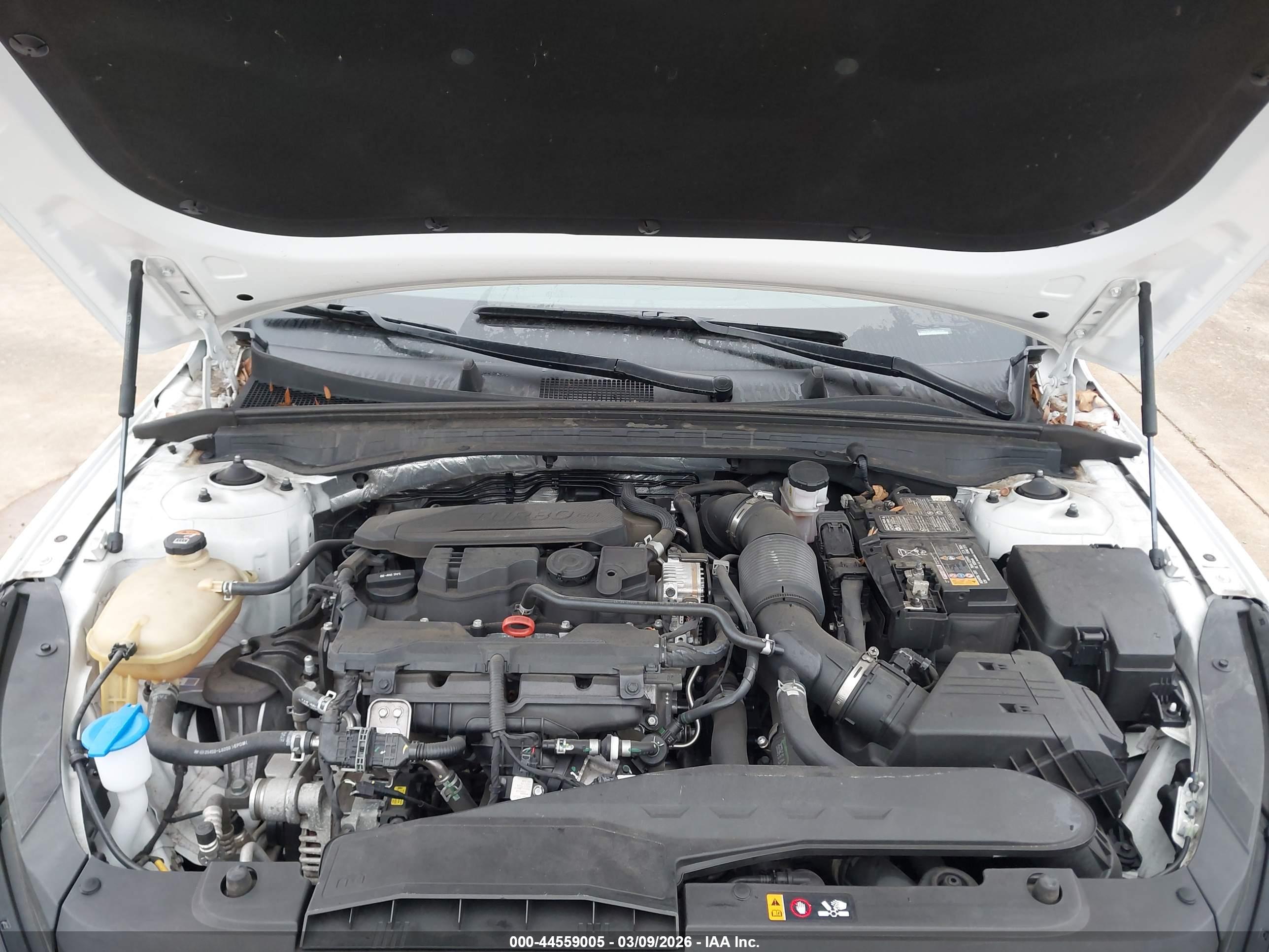 KIA K5 image 10