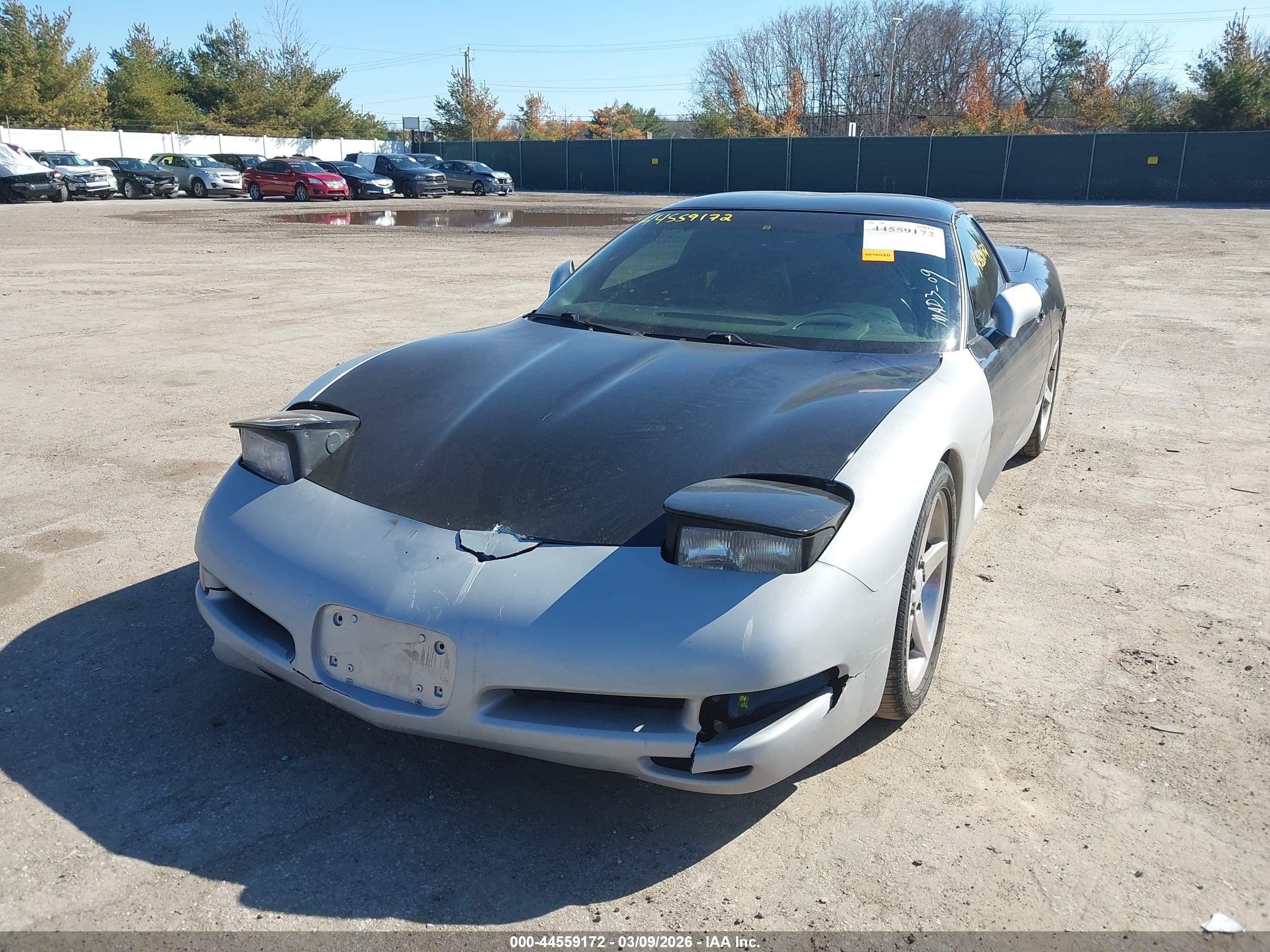 CHEVROLET CORVETTE image 6