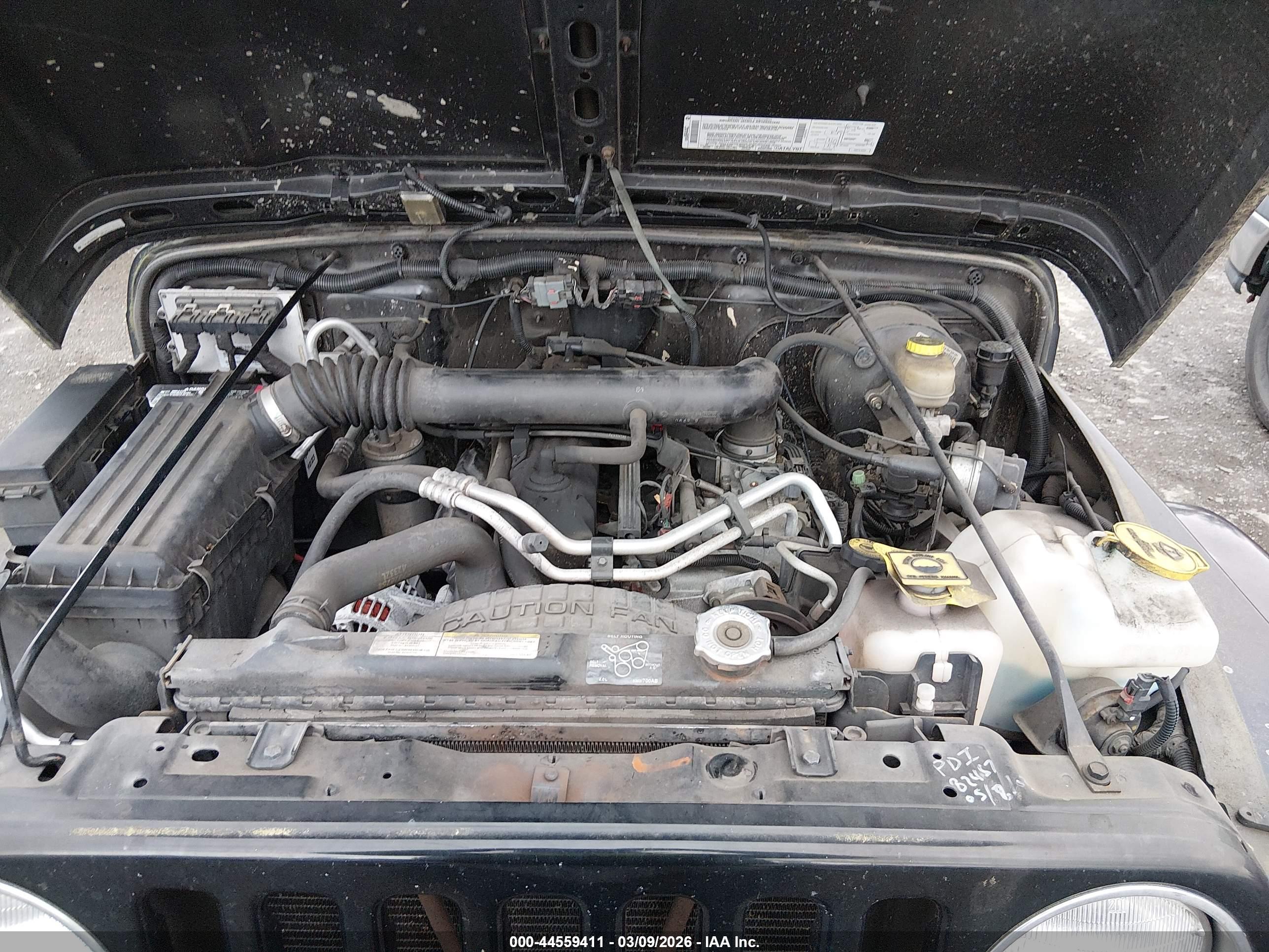 JEEP WRANGLER image 10