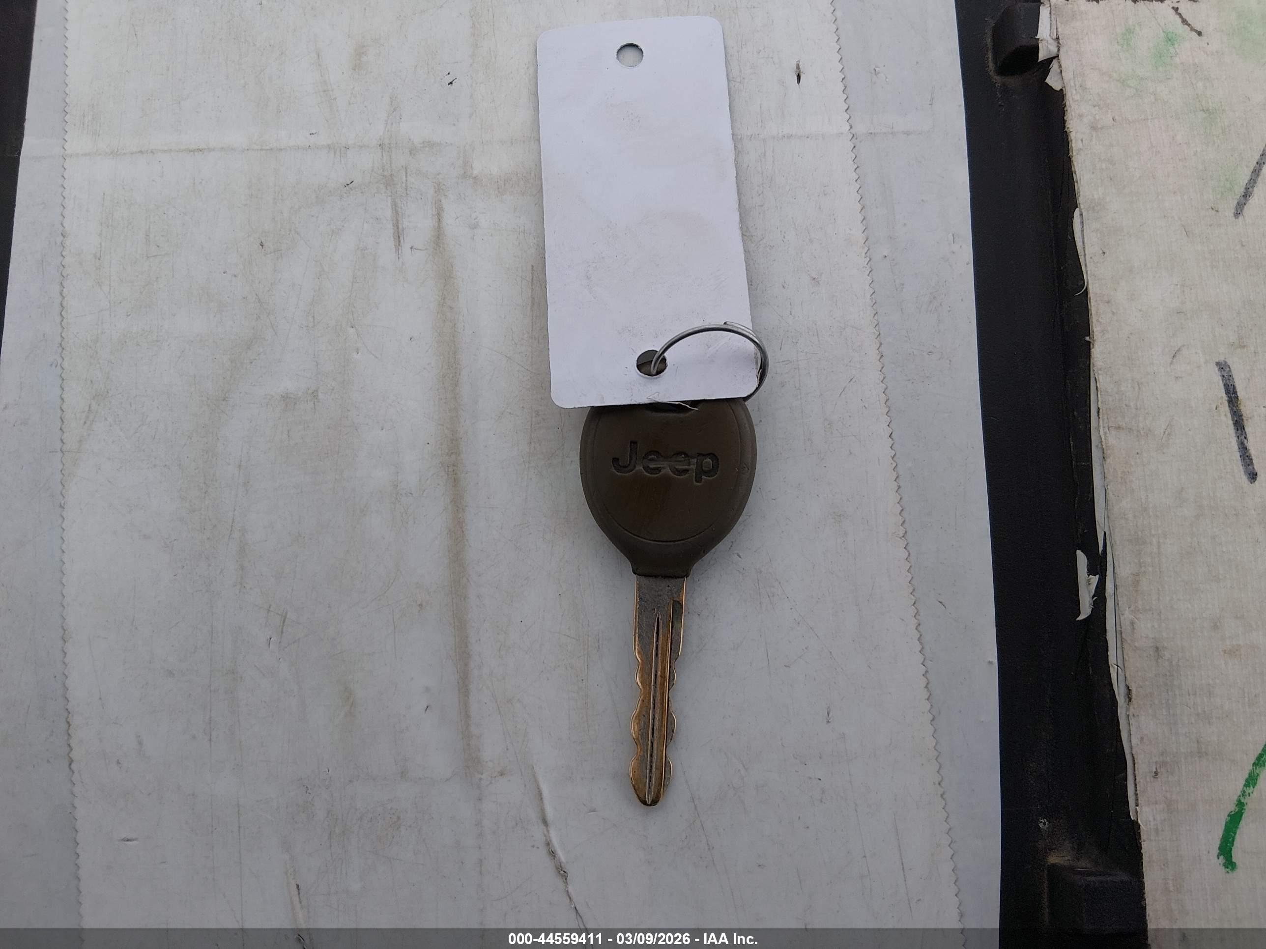 JEEP WRANGLER image 11