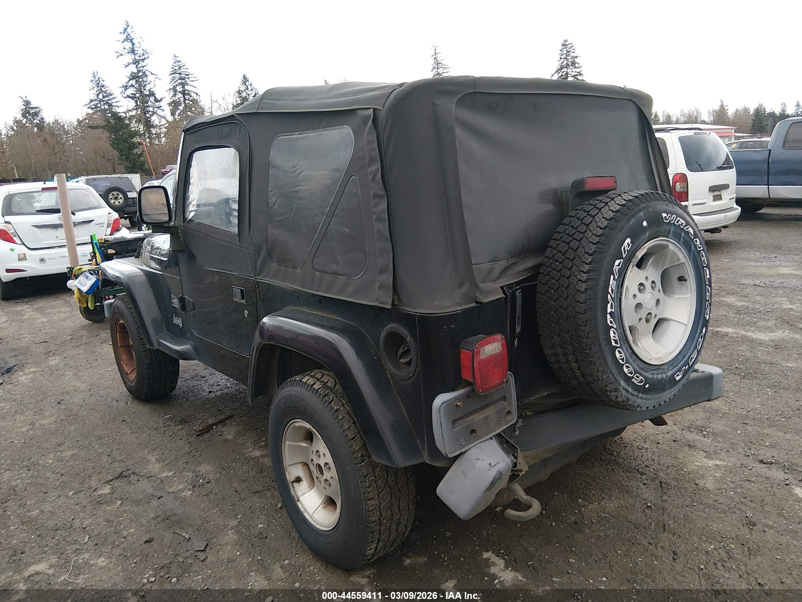 JEEP WRANGLER image 3