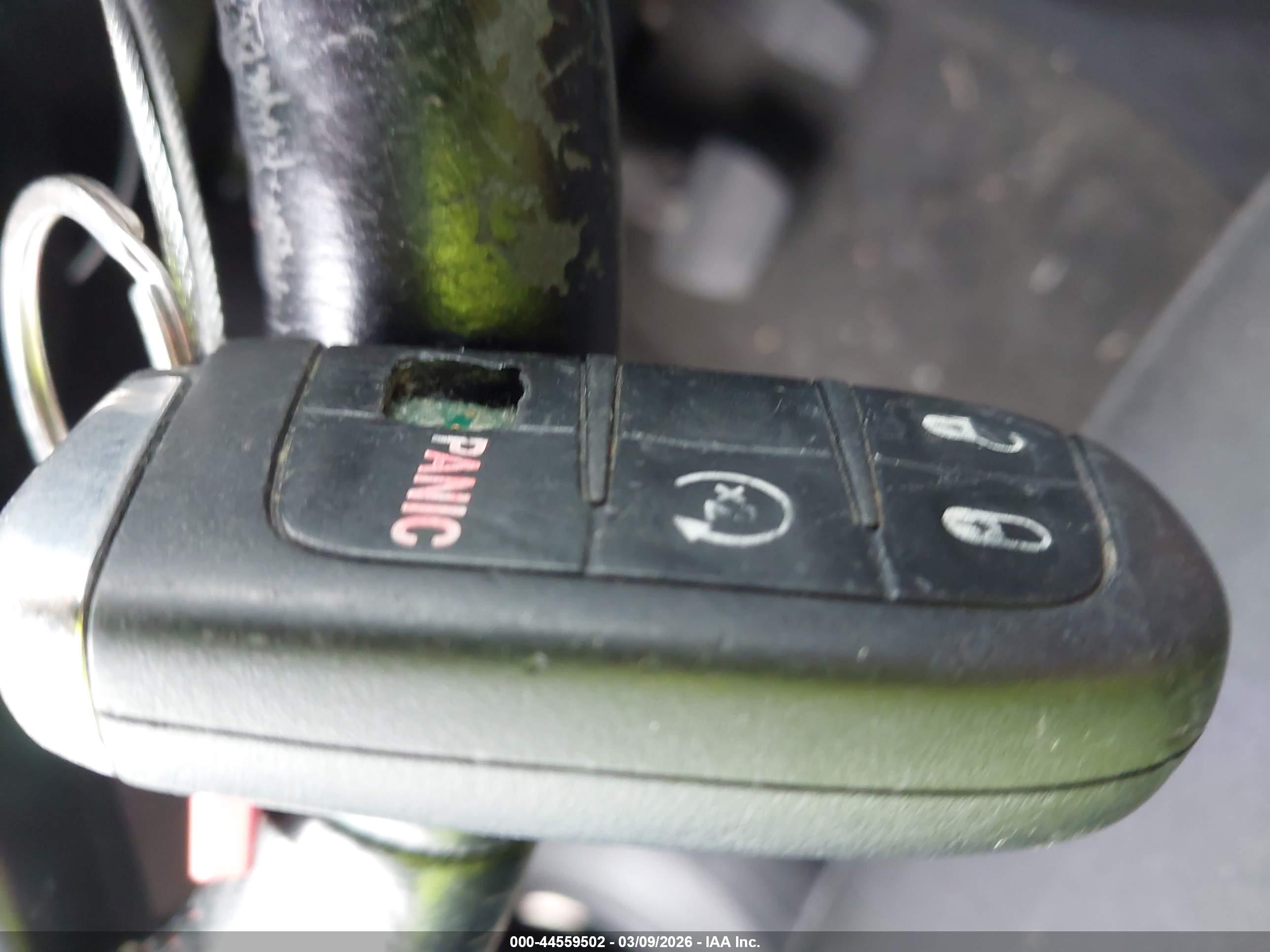 JEEP RENEGADE image 11