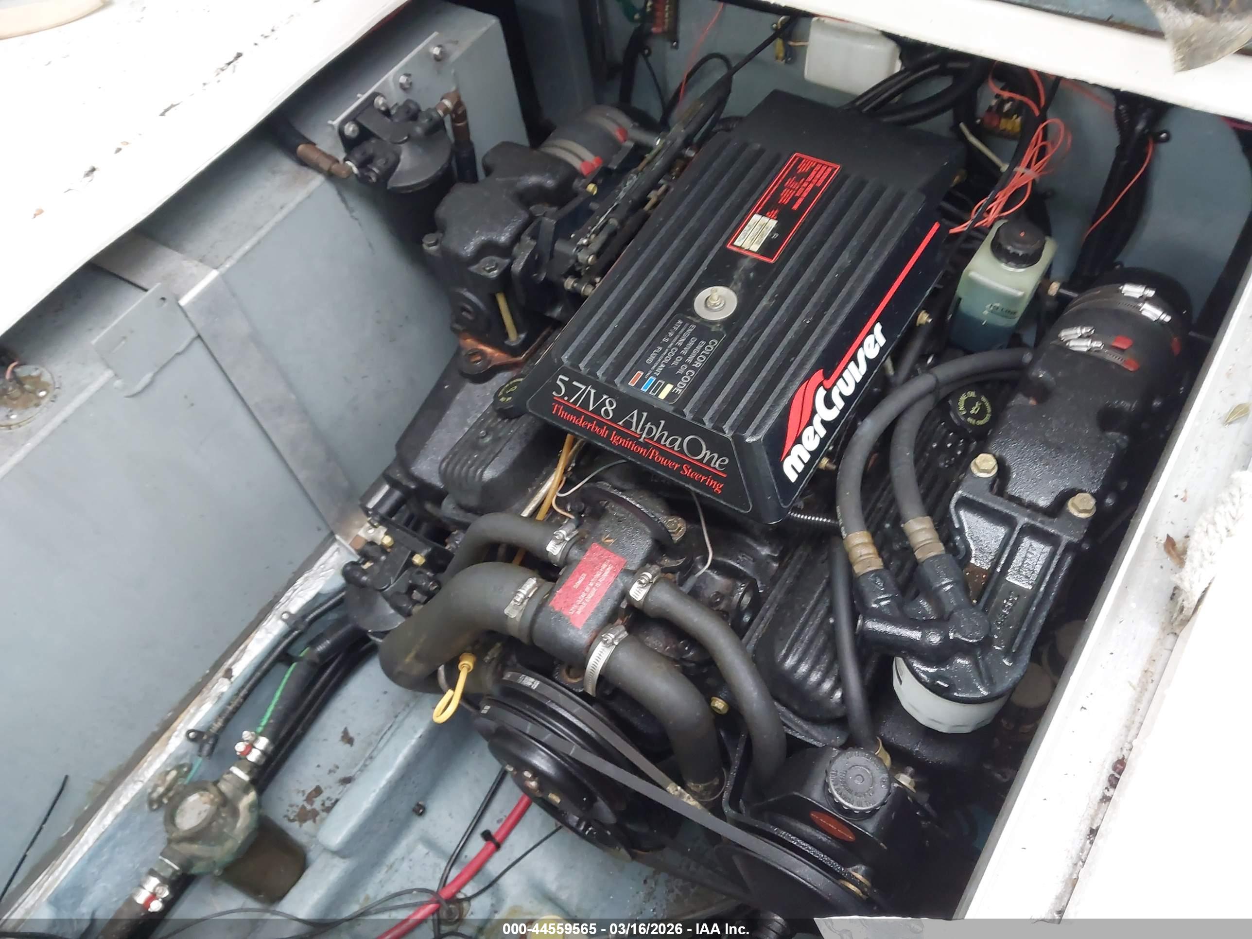 SEA RAY image 10