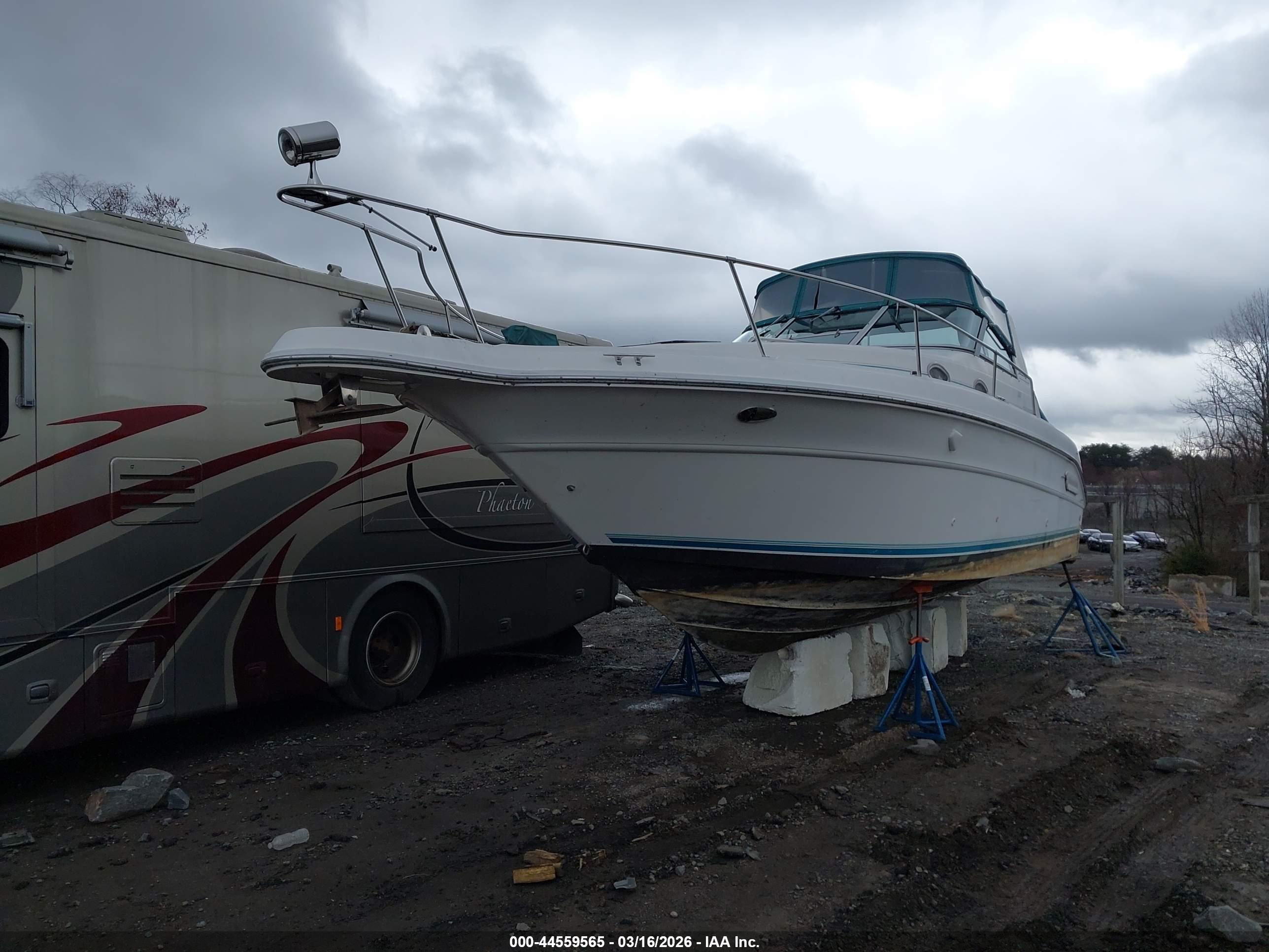 SEA RAY image 2