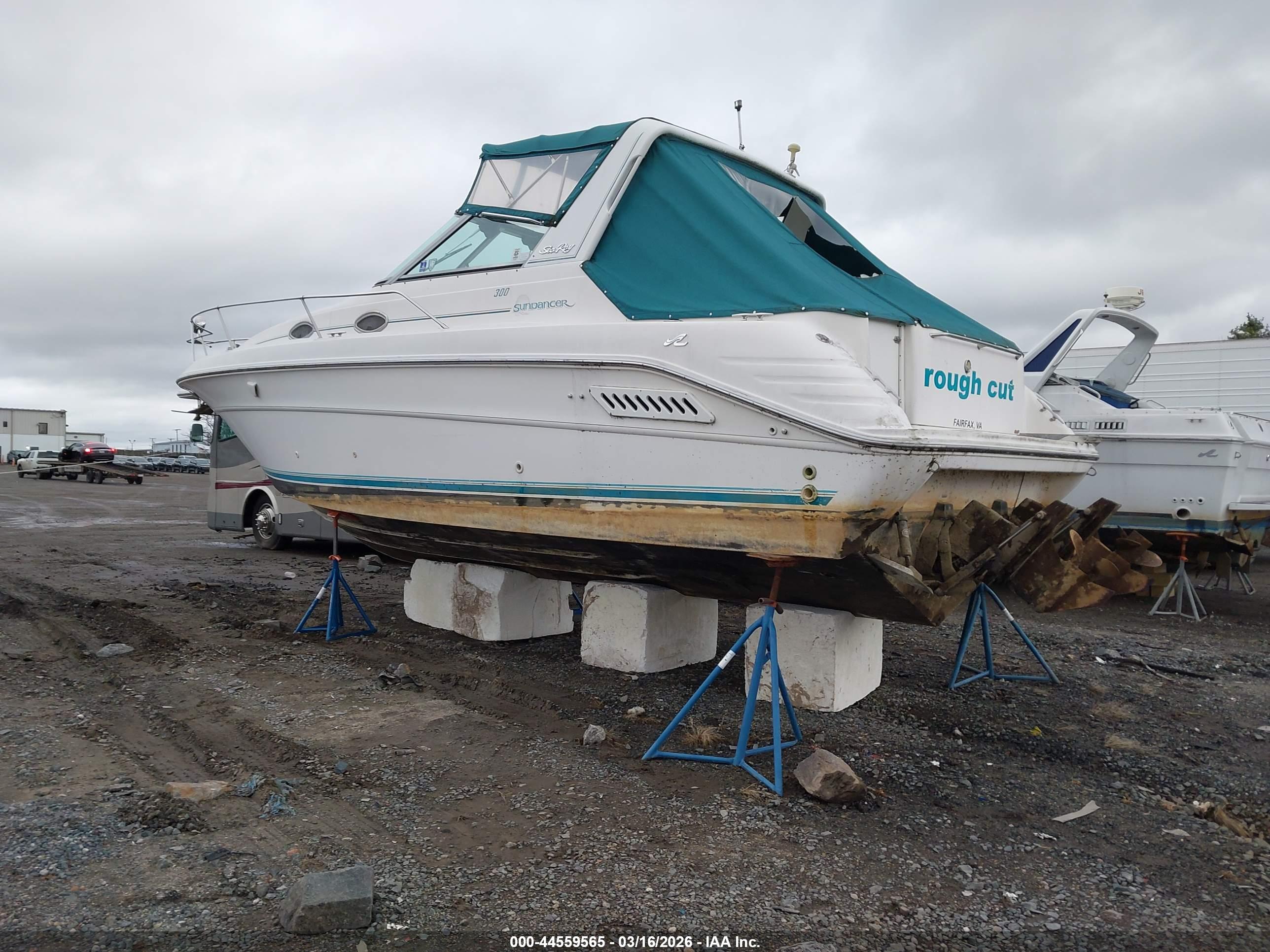 SEA RAY image 3