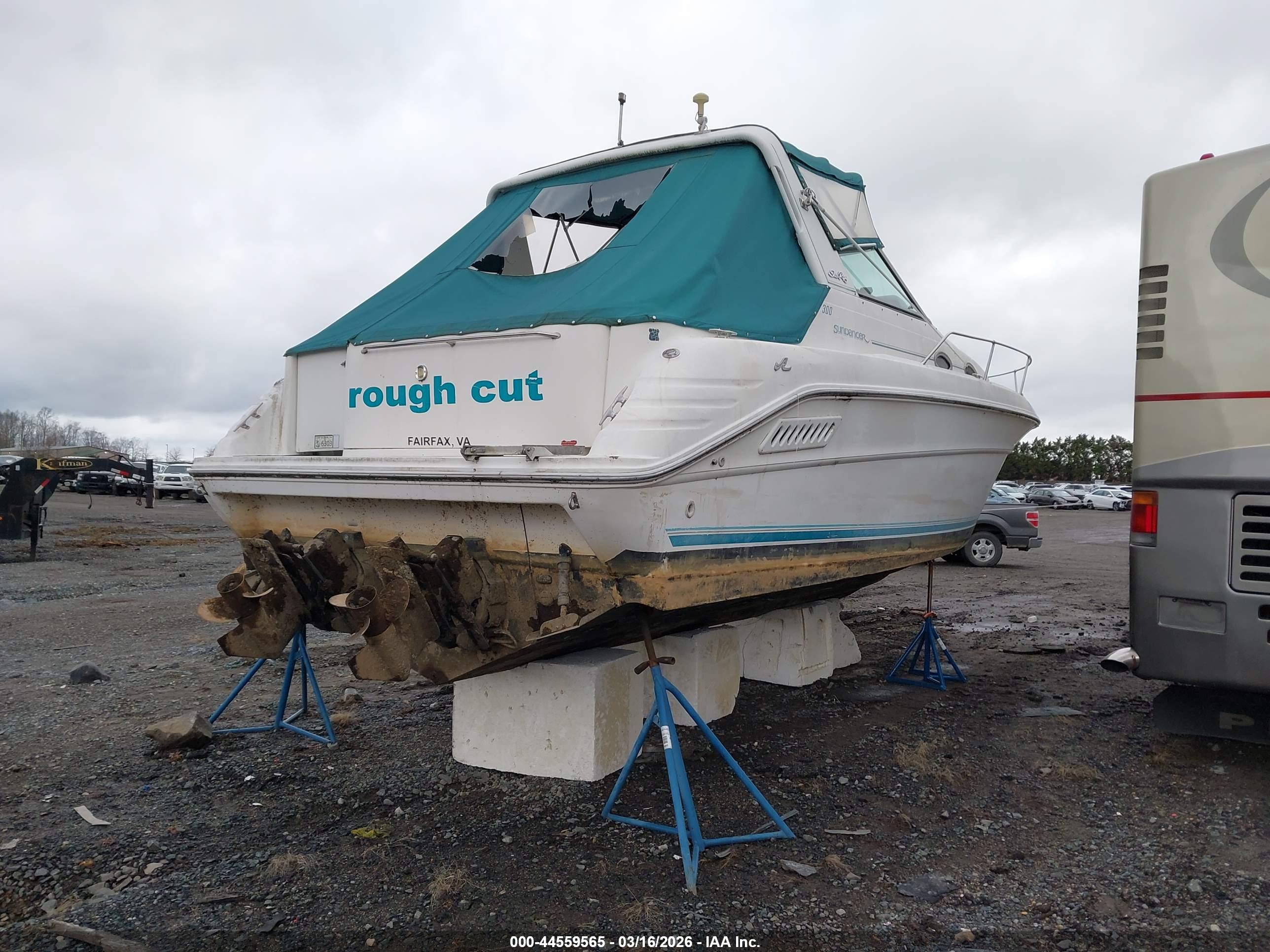 SEA RAY image 4