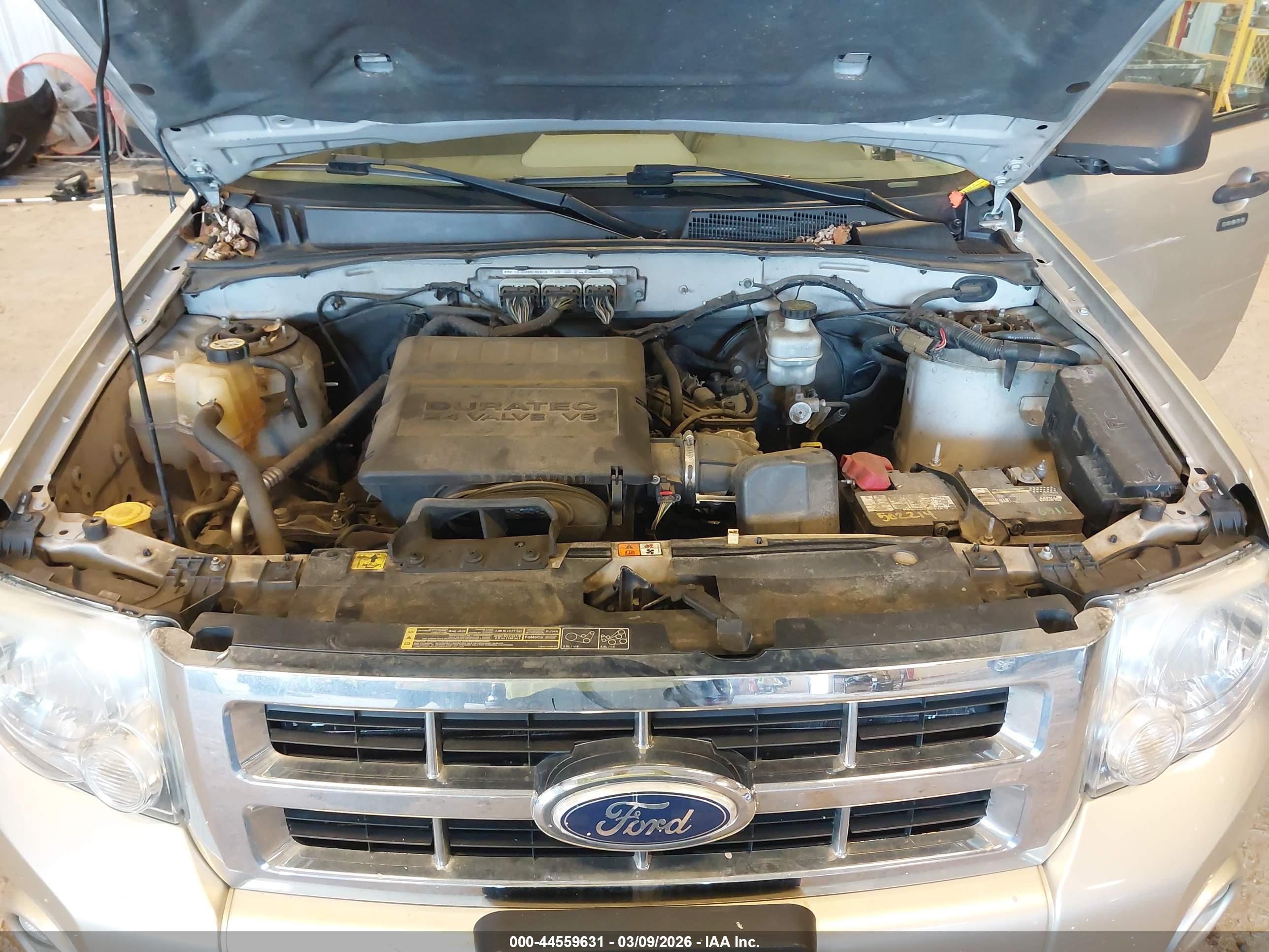 FORD ESCAPE image 10