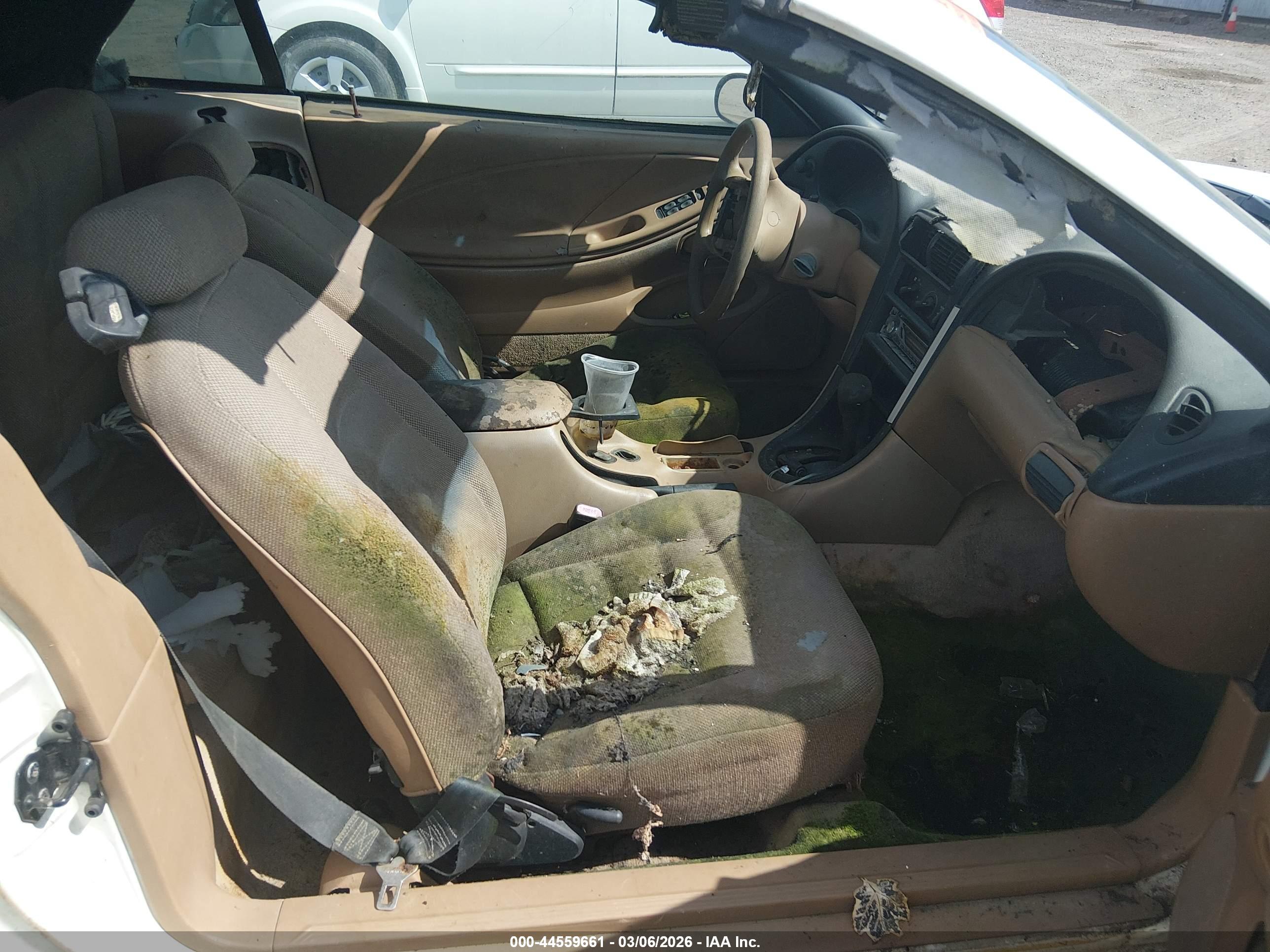 FORD MUSTANG image 5