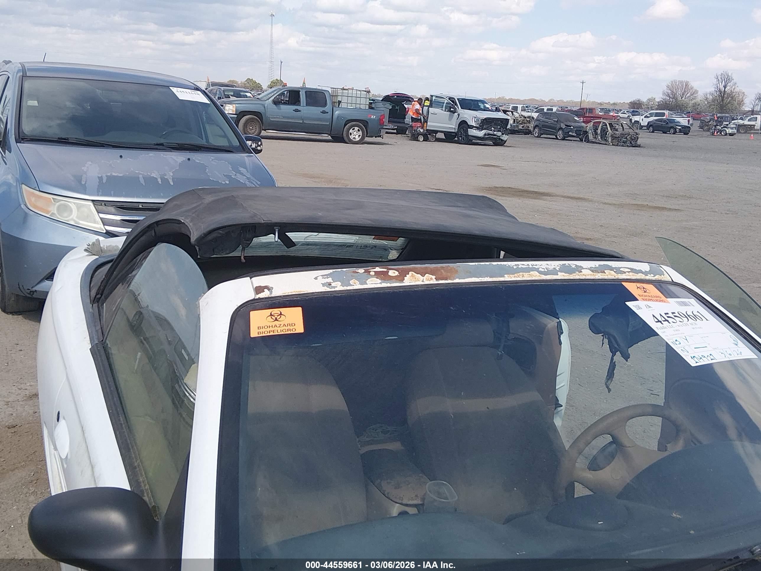 FORD MUSTANG image 6