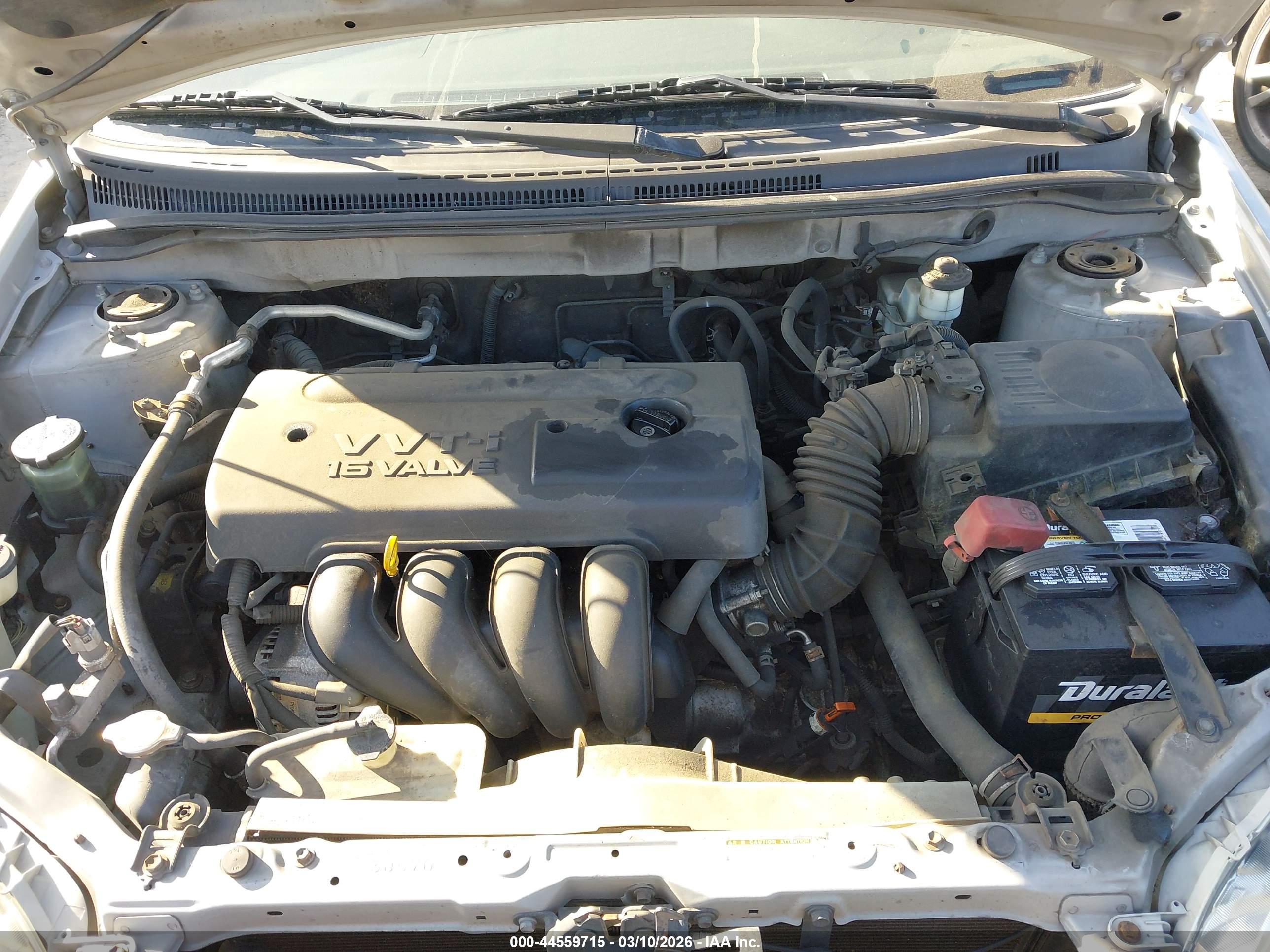 TOYOTA COROLLA image 10
