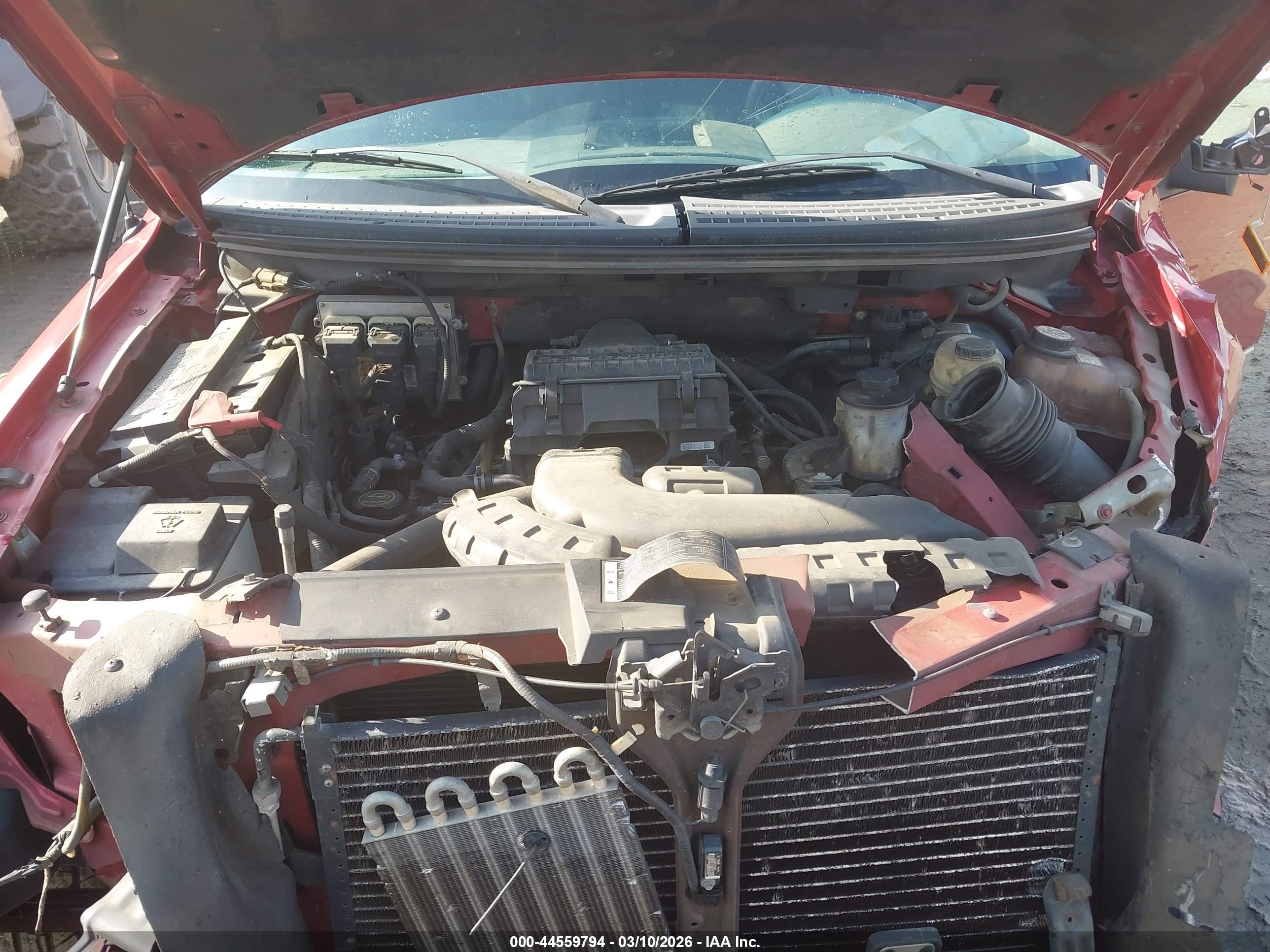 FORD F-150 image 10