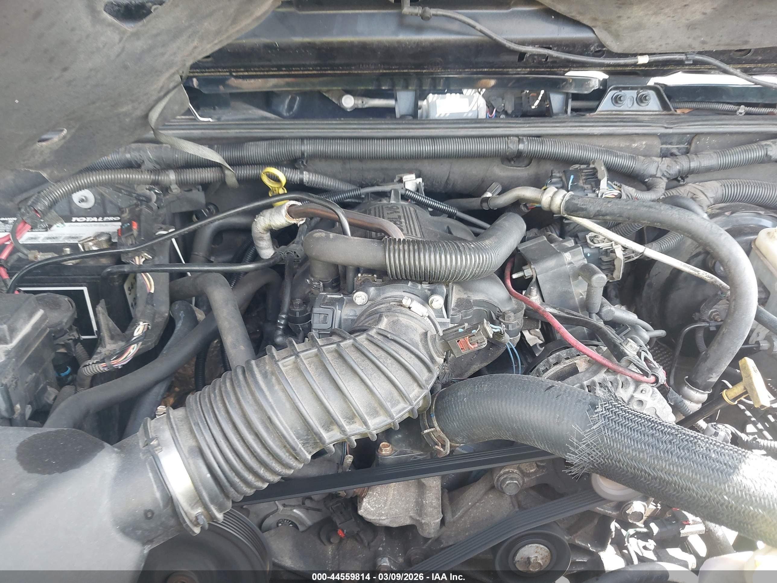 JEEP WRANGLER image 10
