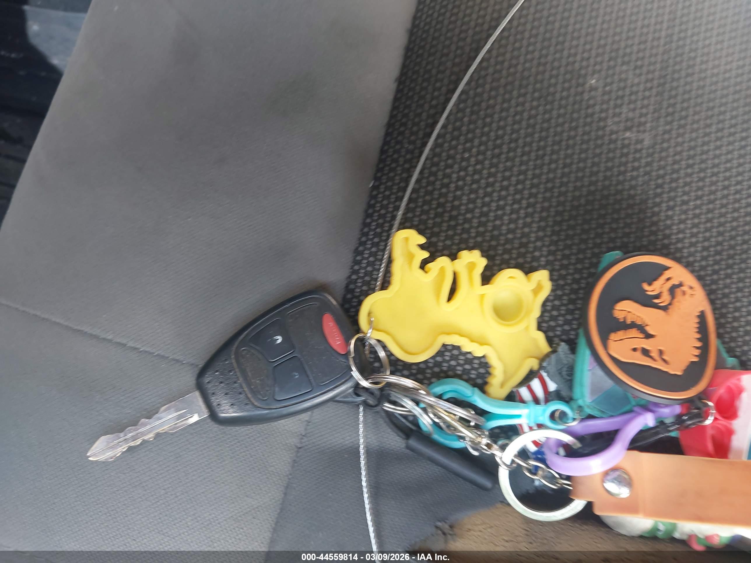 JEEP WRANGLER image 11