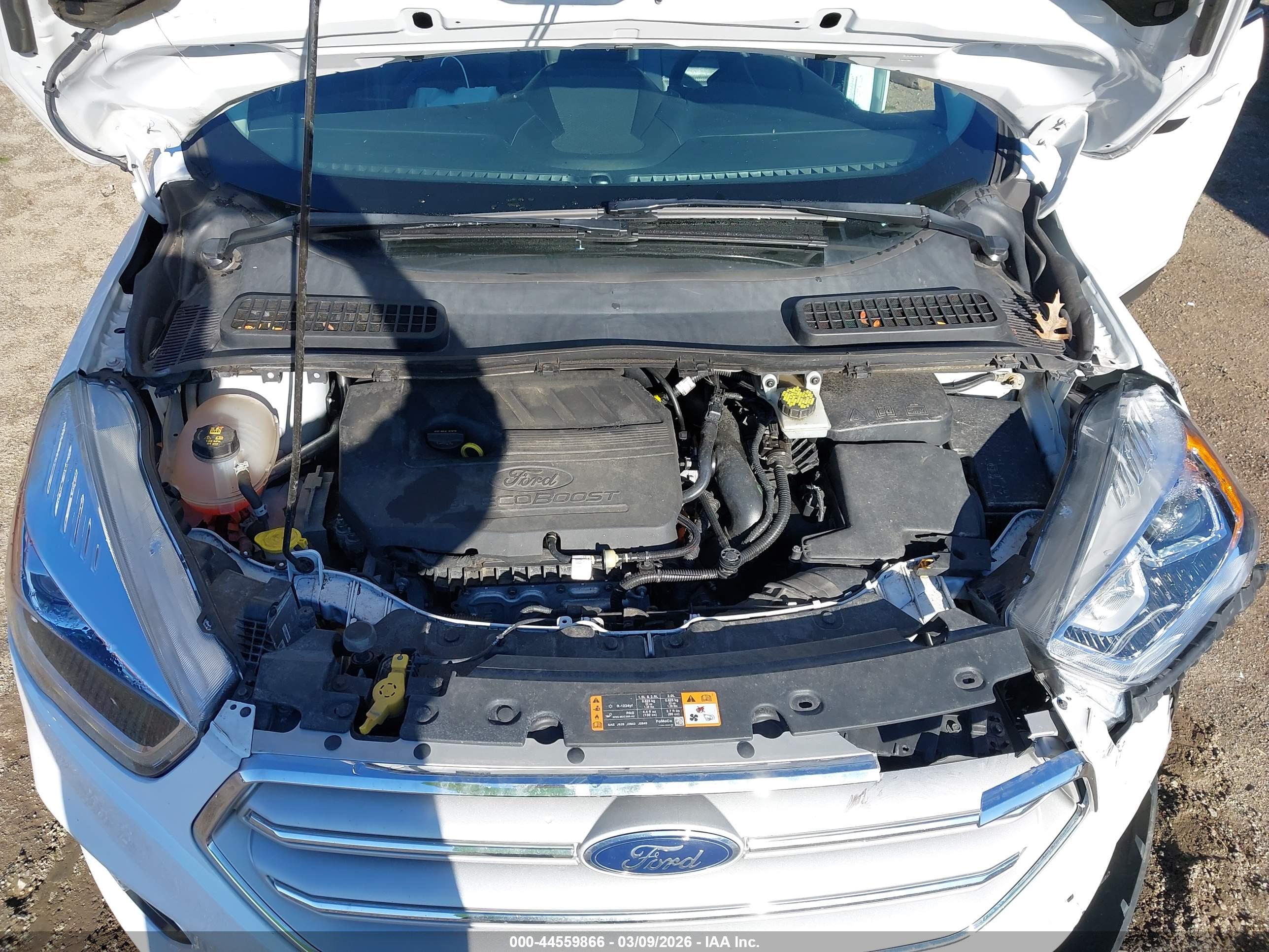 FORD ESCAPE image 10