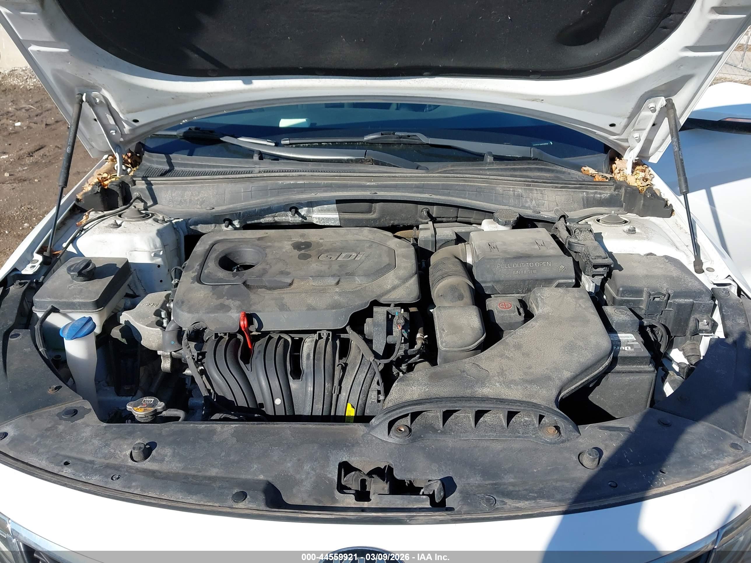 KIA OPTIMA image 10