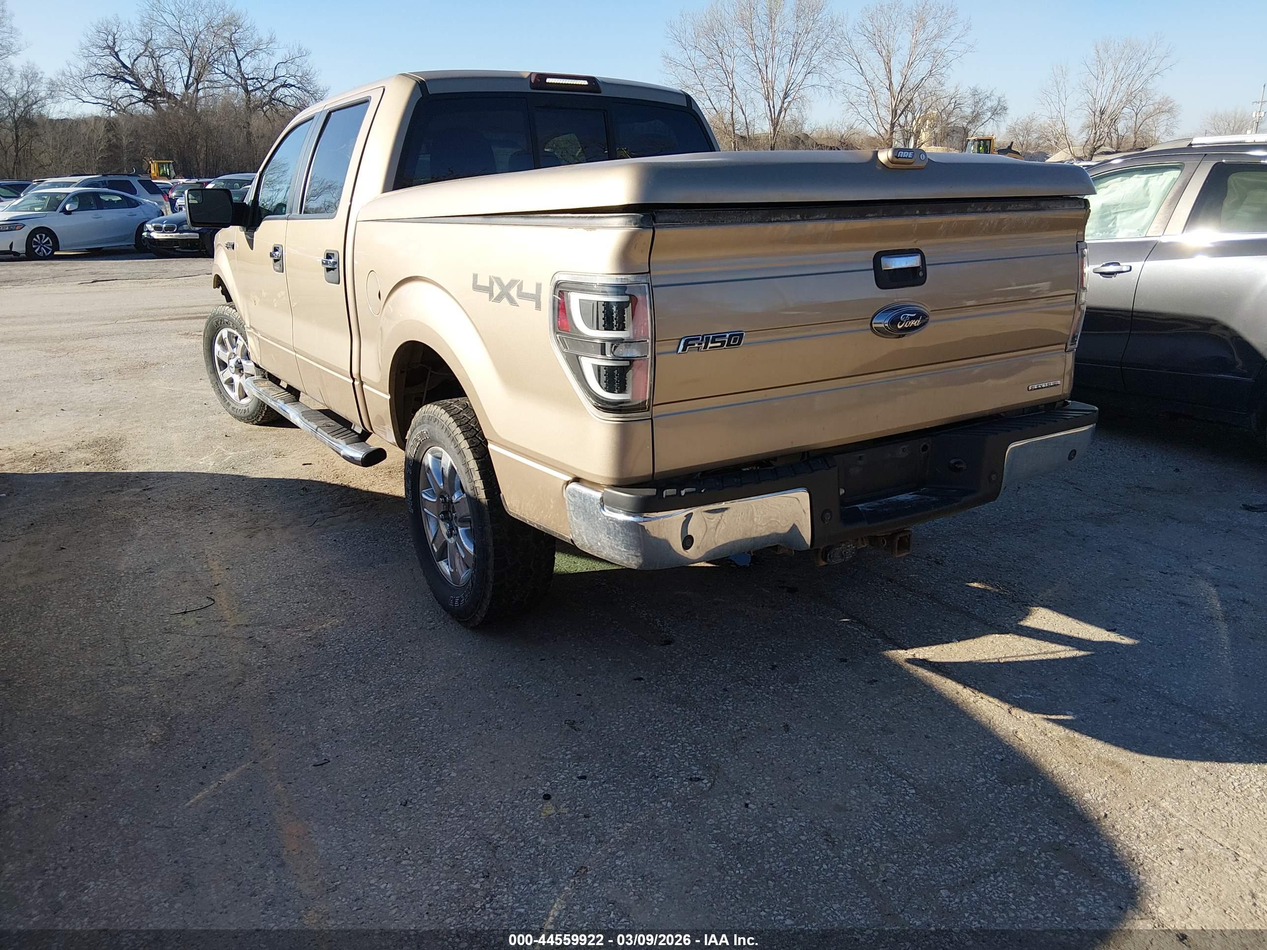 FORD F-150 image 3