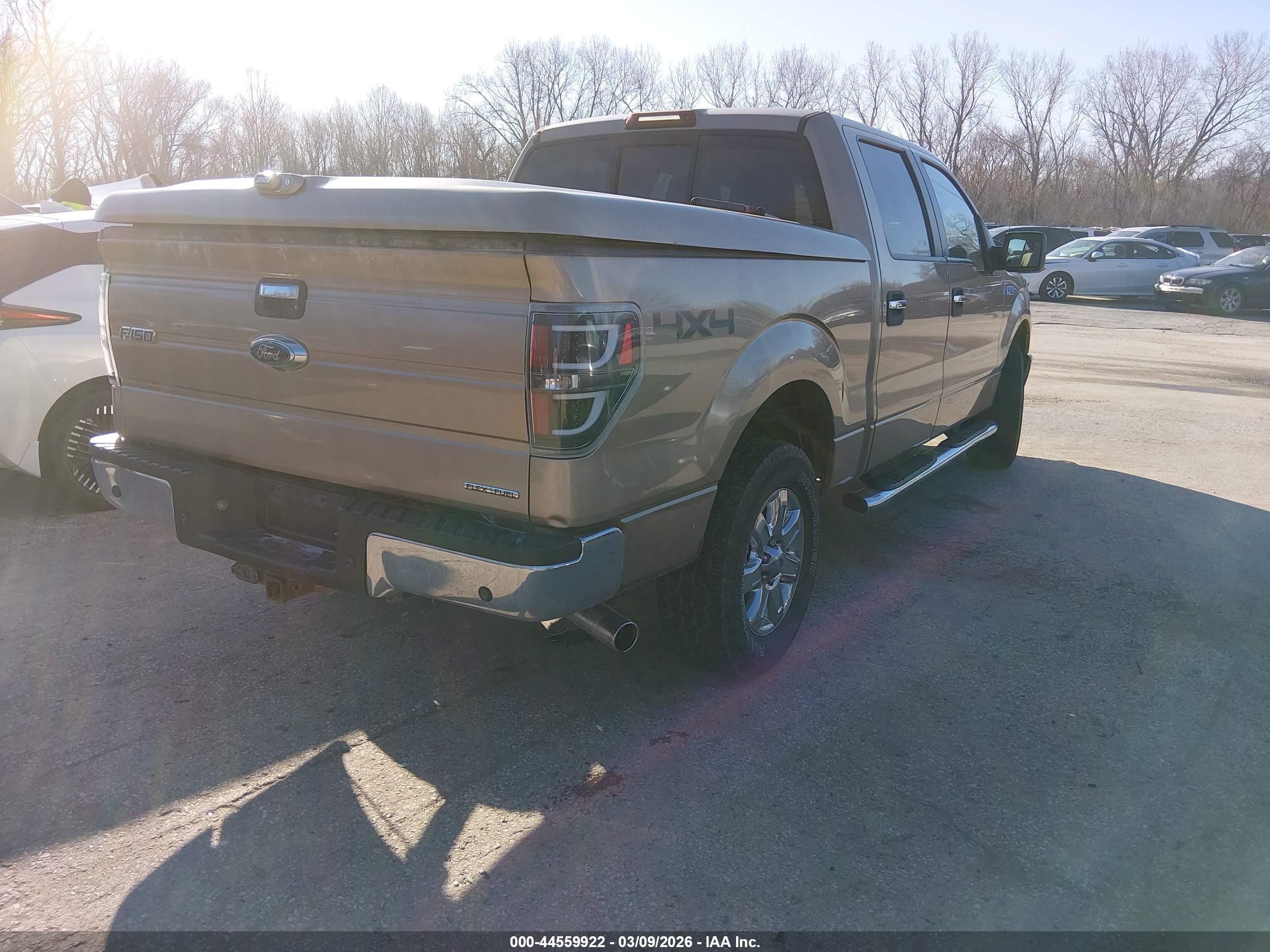 FORD F-150 image 4
