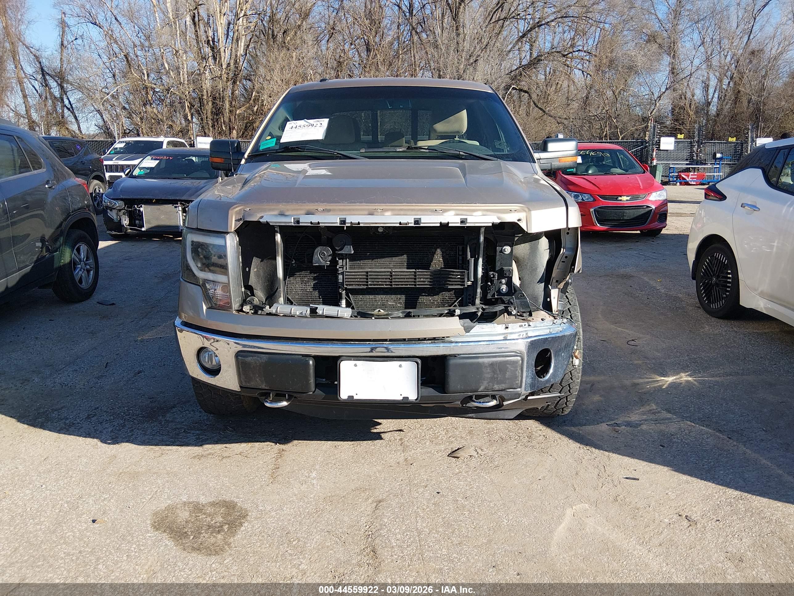 FORD F-150 image 6