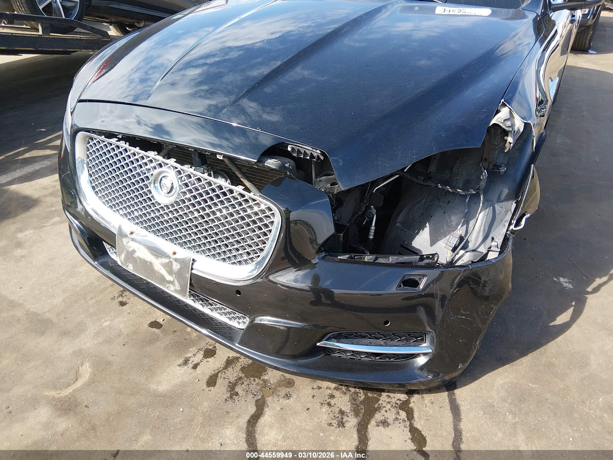 JAGUAR XJ image 6