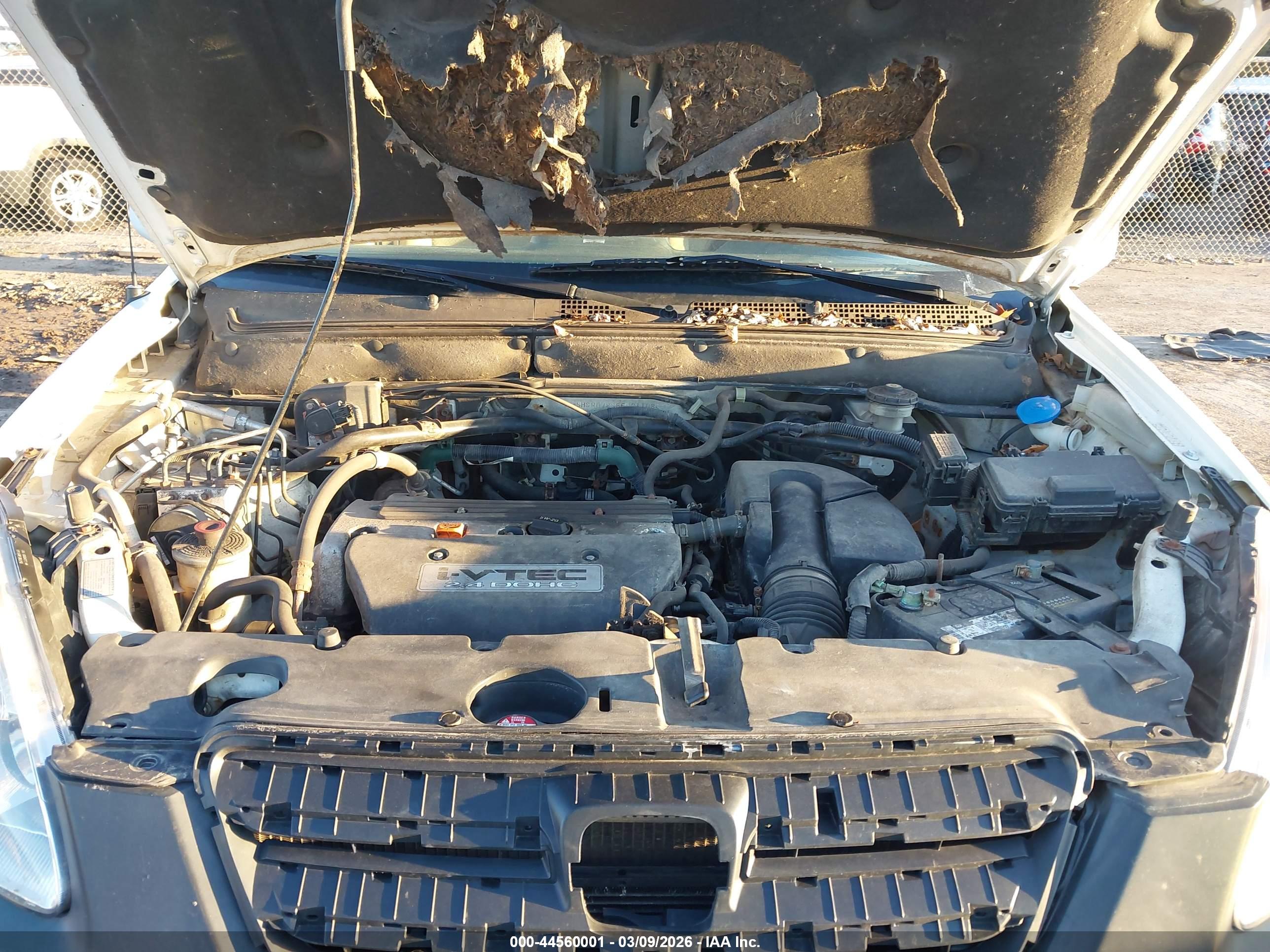 HONDA CR-V image 10