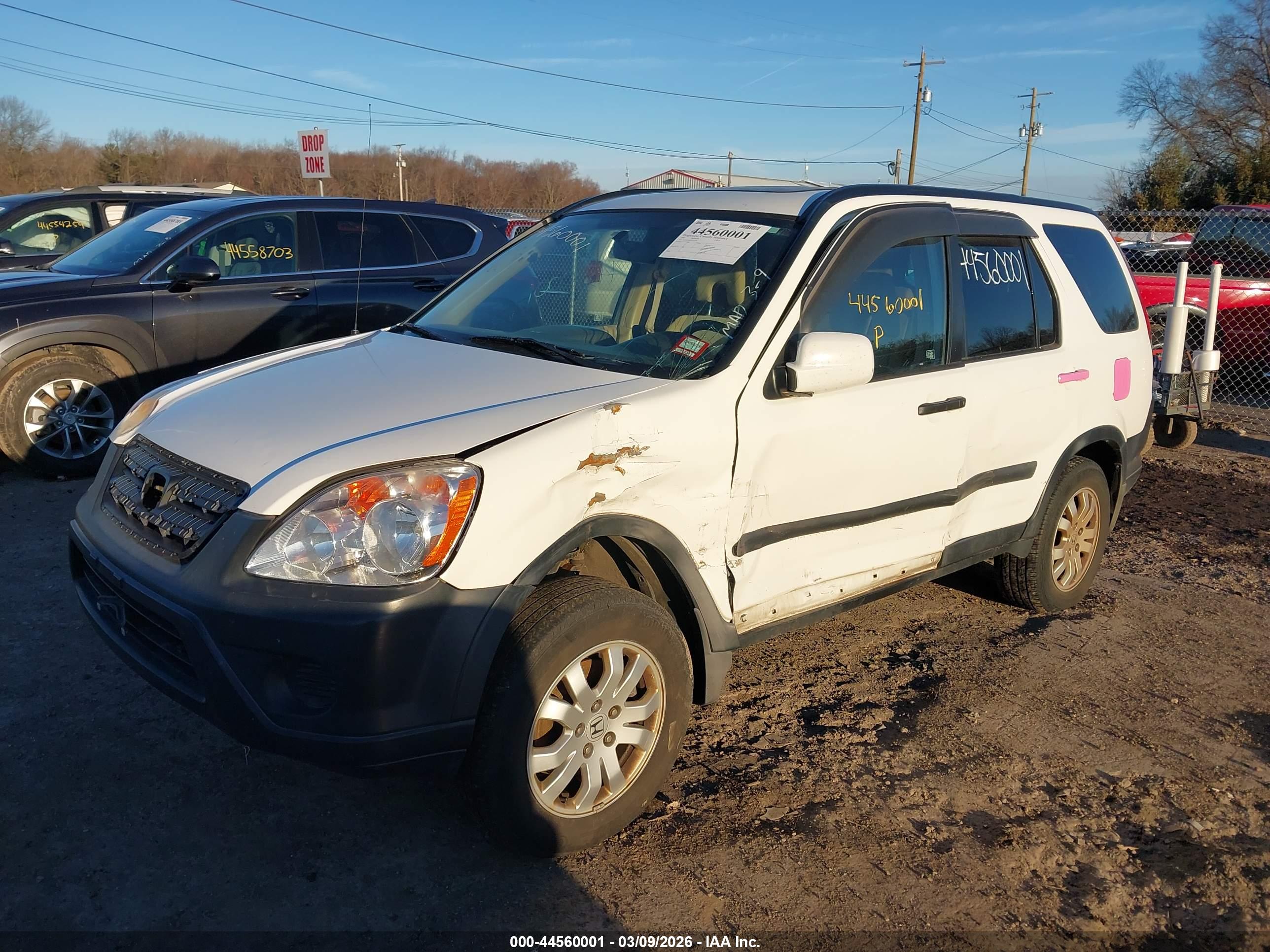 HONDA CR-V image 6