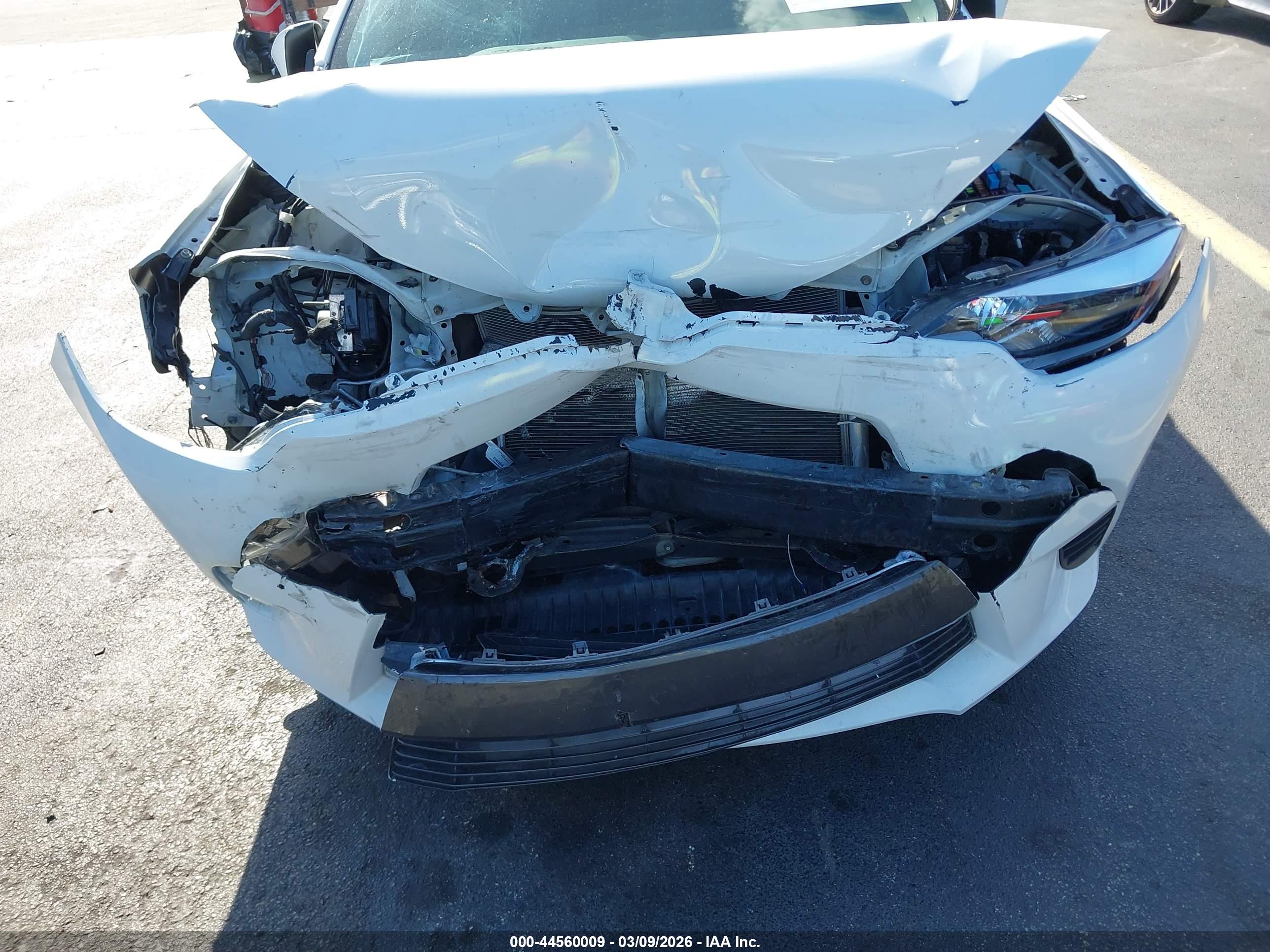 TOYOTA COROLLA image 6