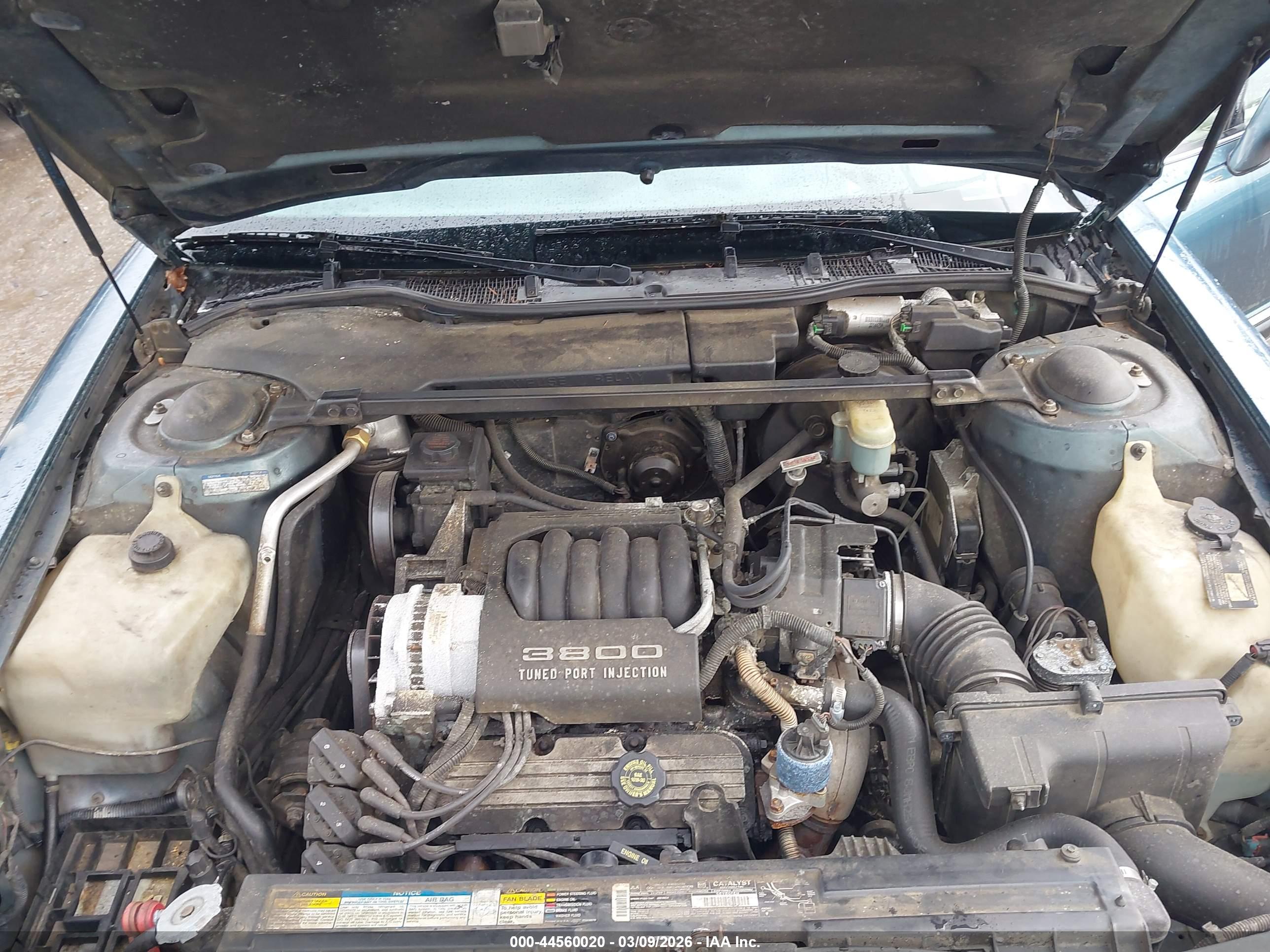 BUICK PARK image 10