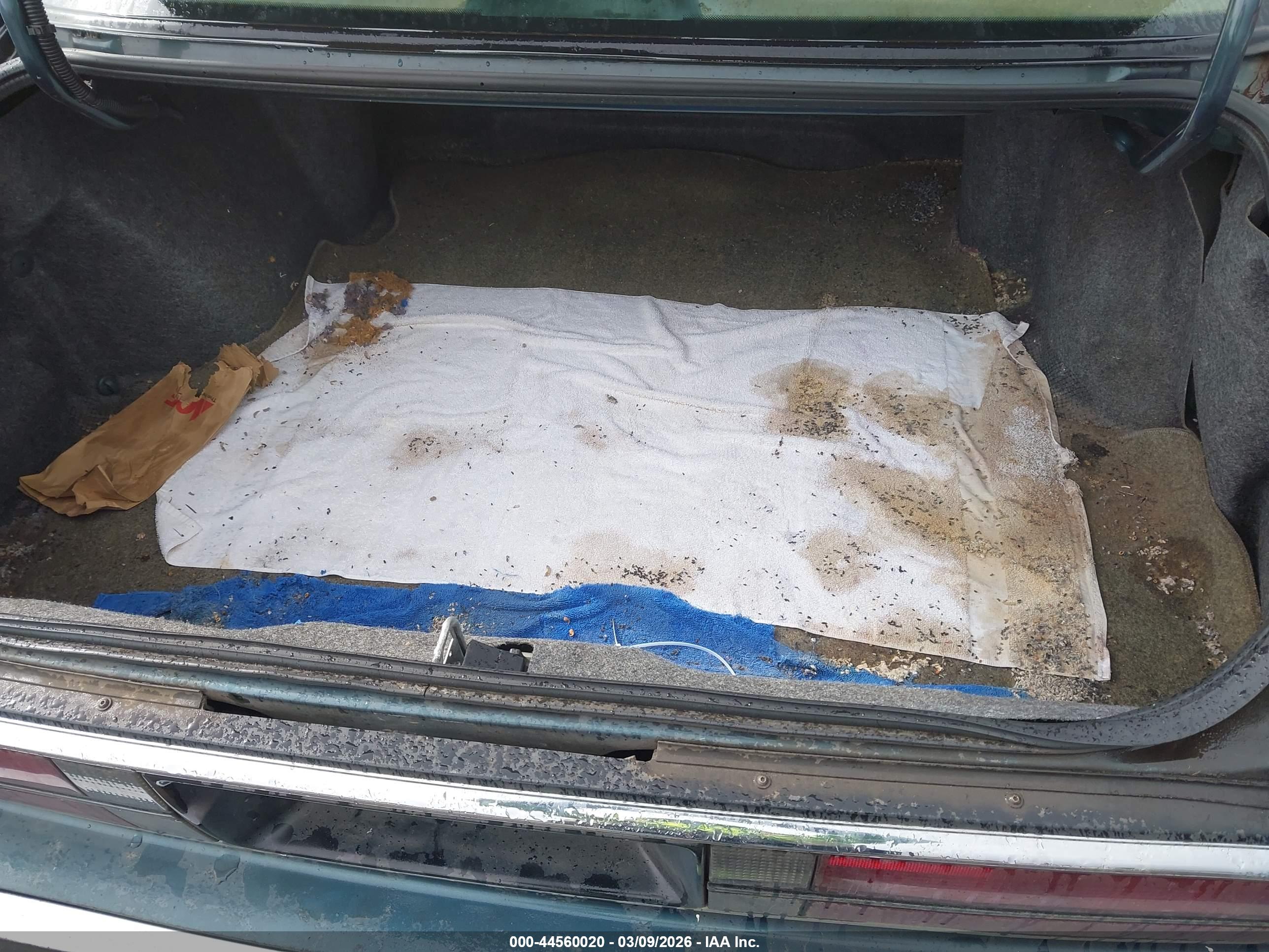 BUICK PARK image 6
