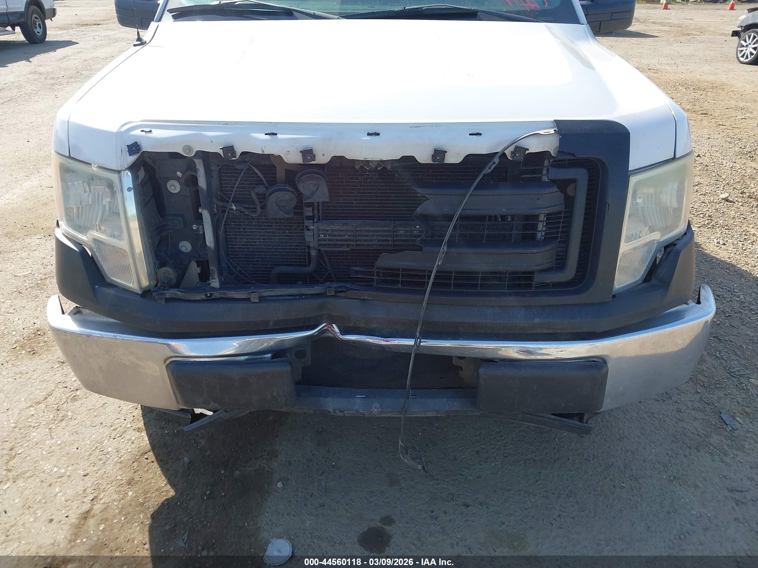 FORD F-150 image 6