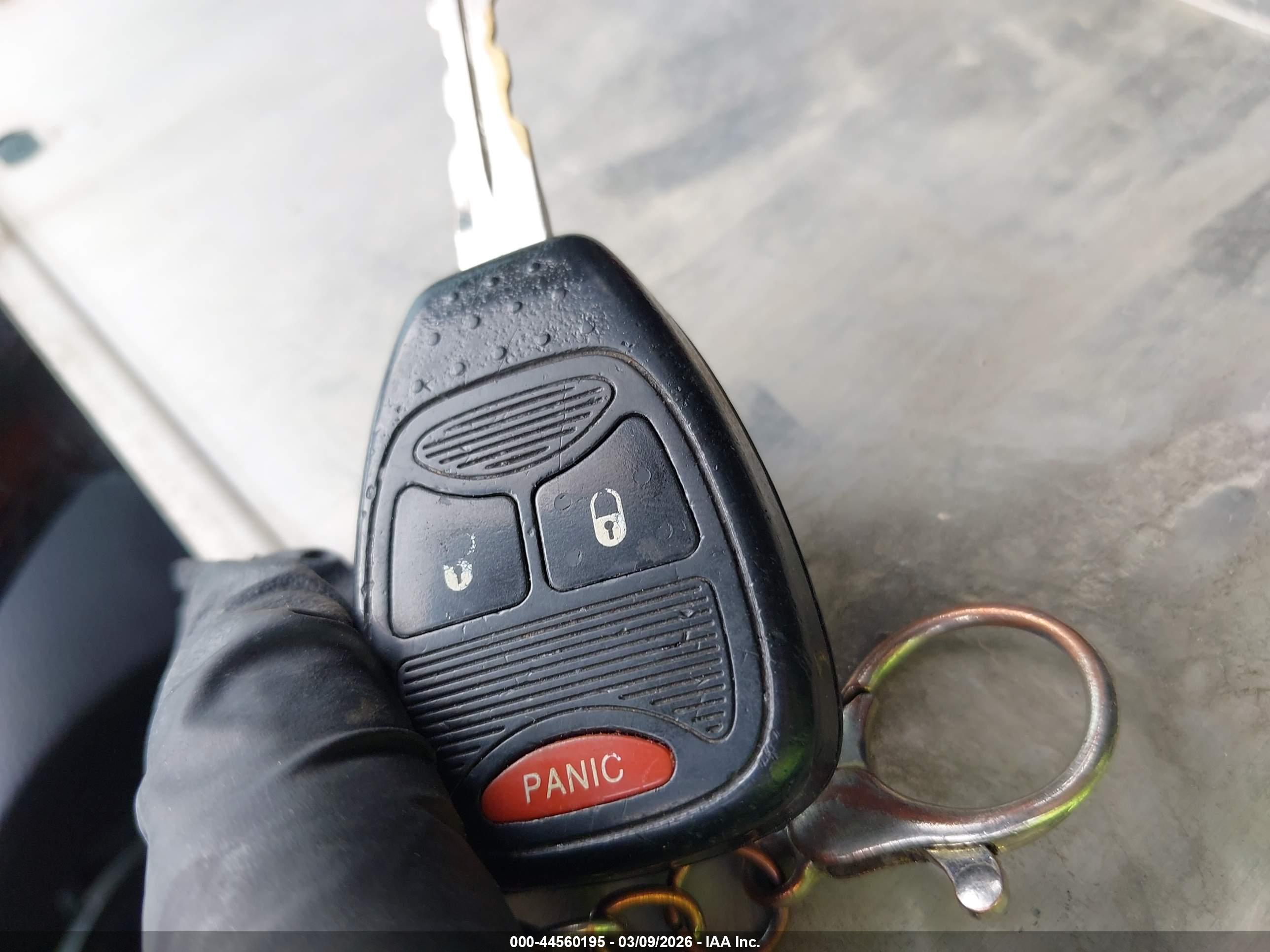 JEEP WRANGLER image 11