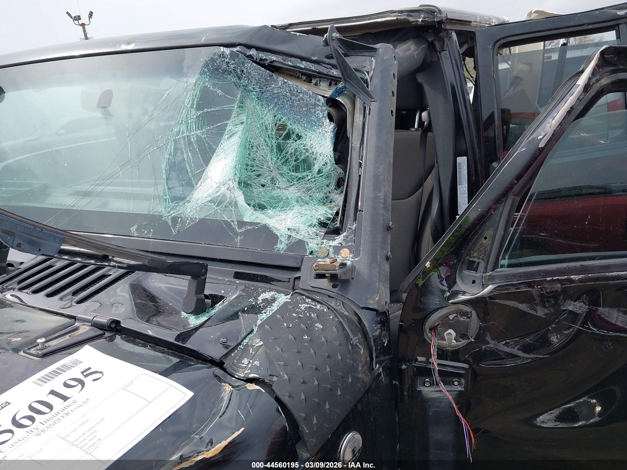 JEEP WRANGLER image 6
