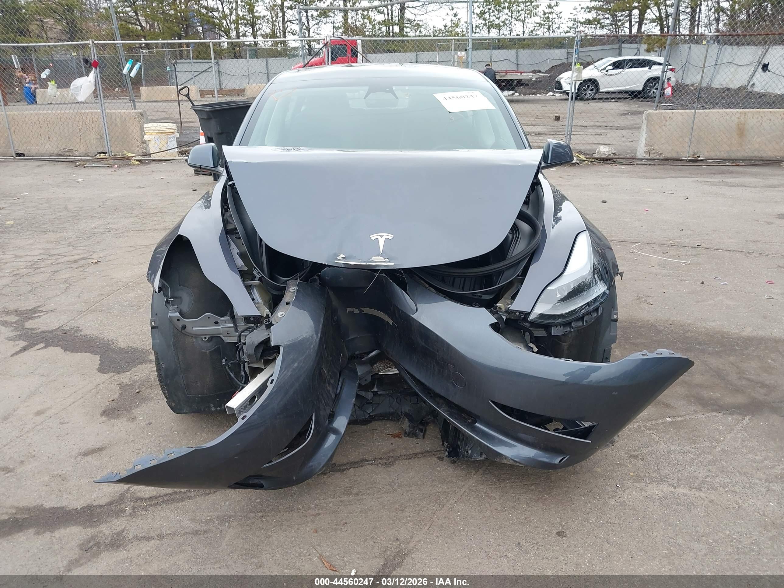 TESLA MODEL image 6