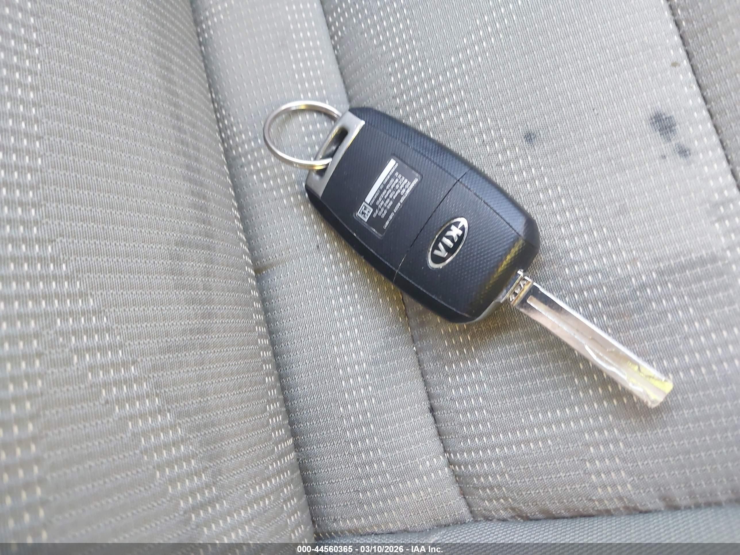 KIA RIO image 11
