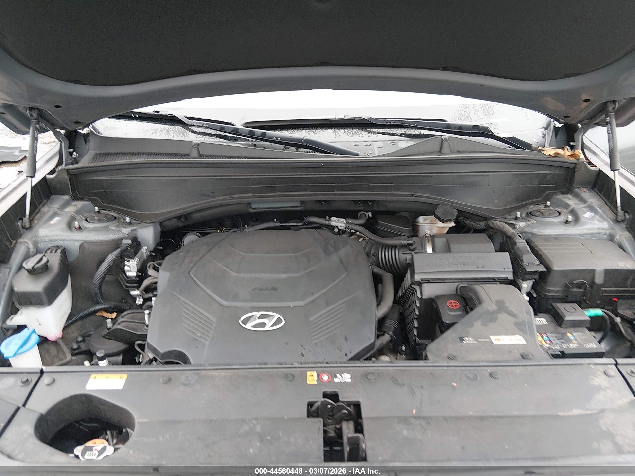 HYUNDAI PALISADE image 10