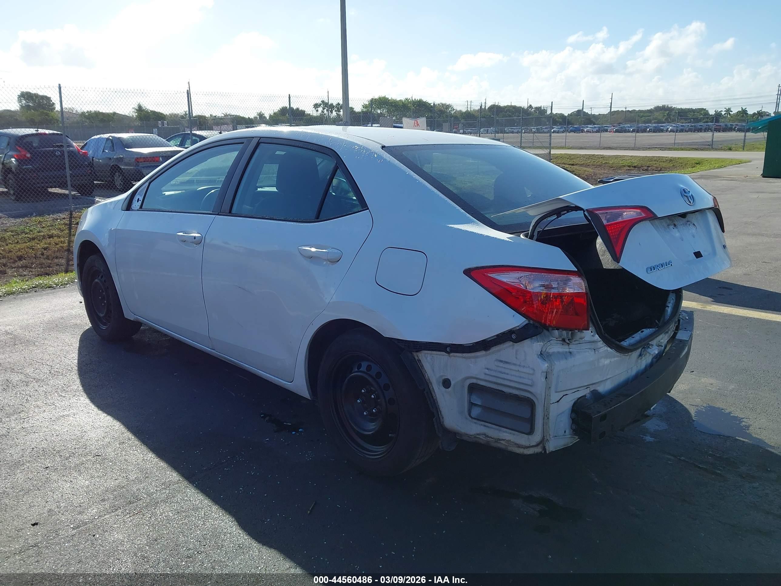 TOYOTA COROLLA image 3