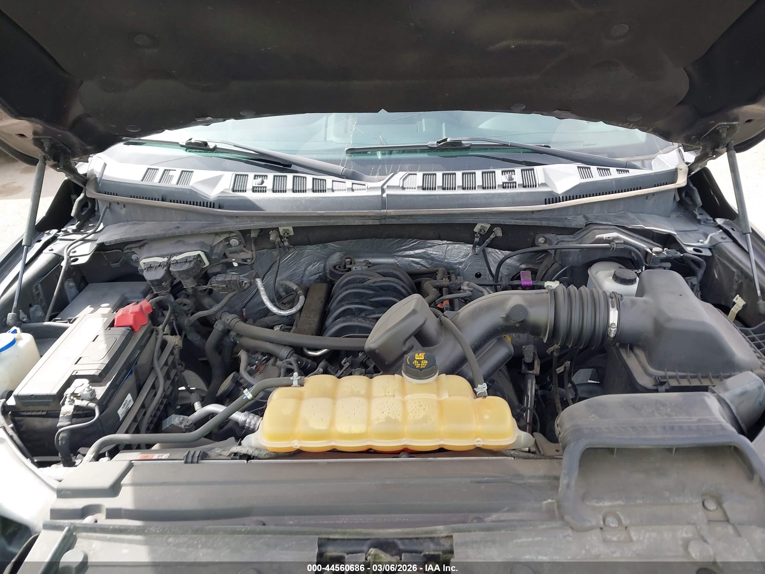 FORD F-150 image 10