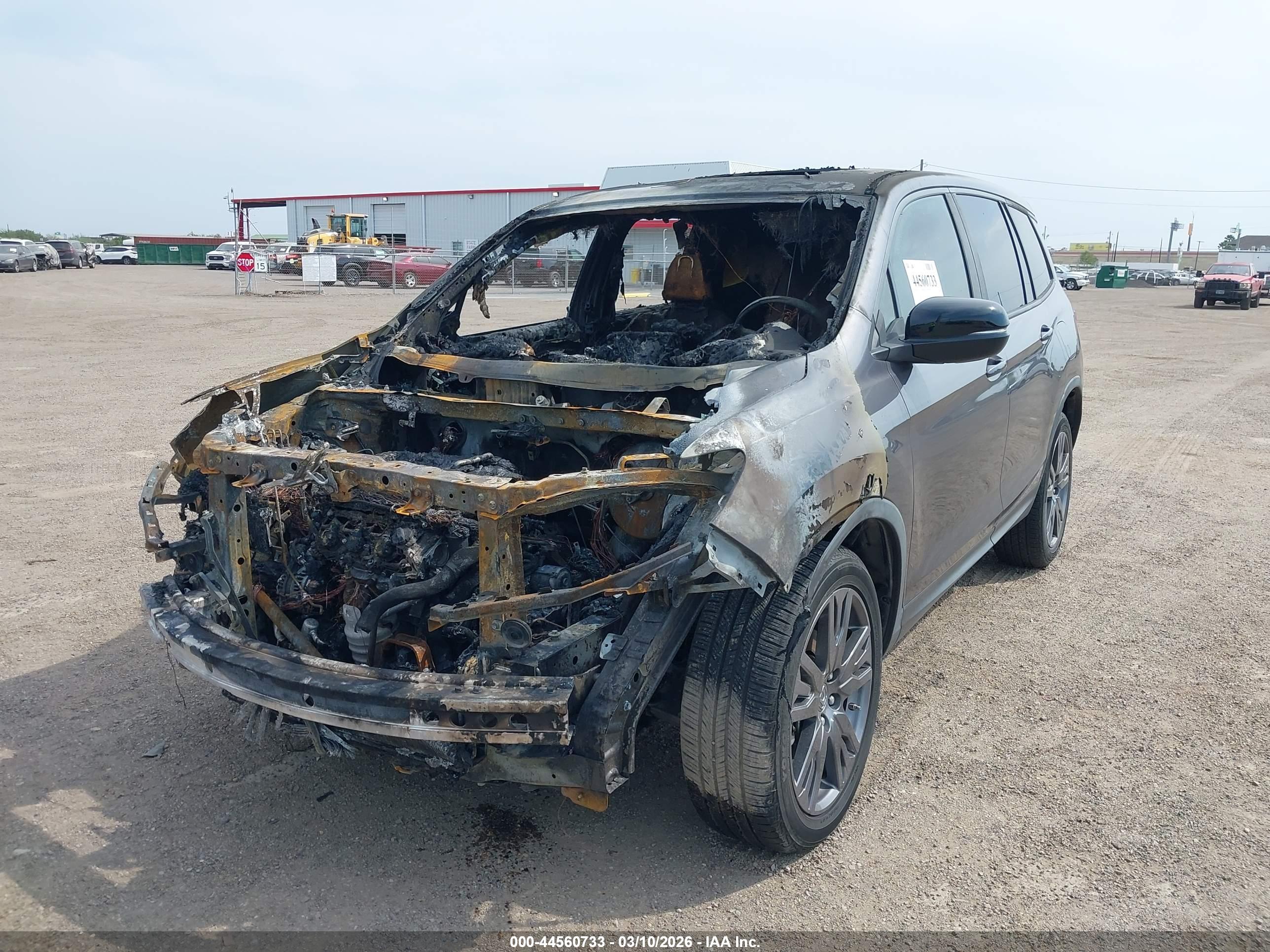 HONDA PASSPORT image 6