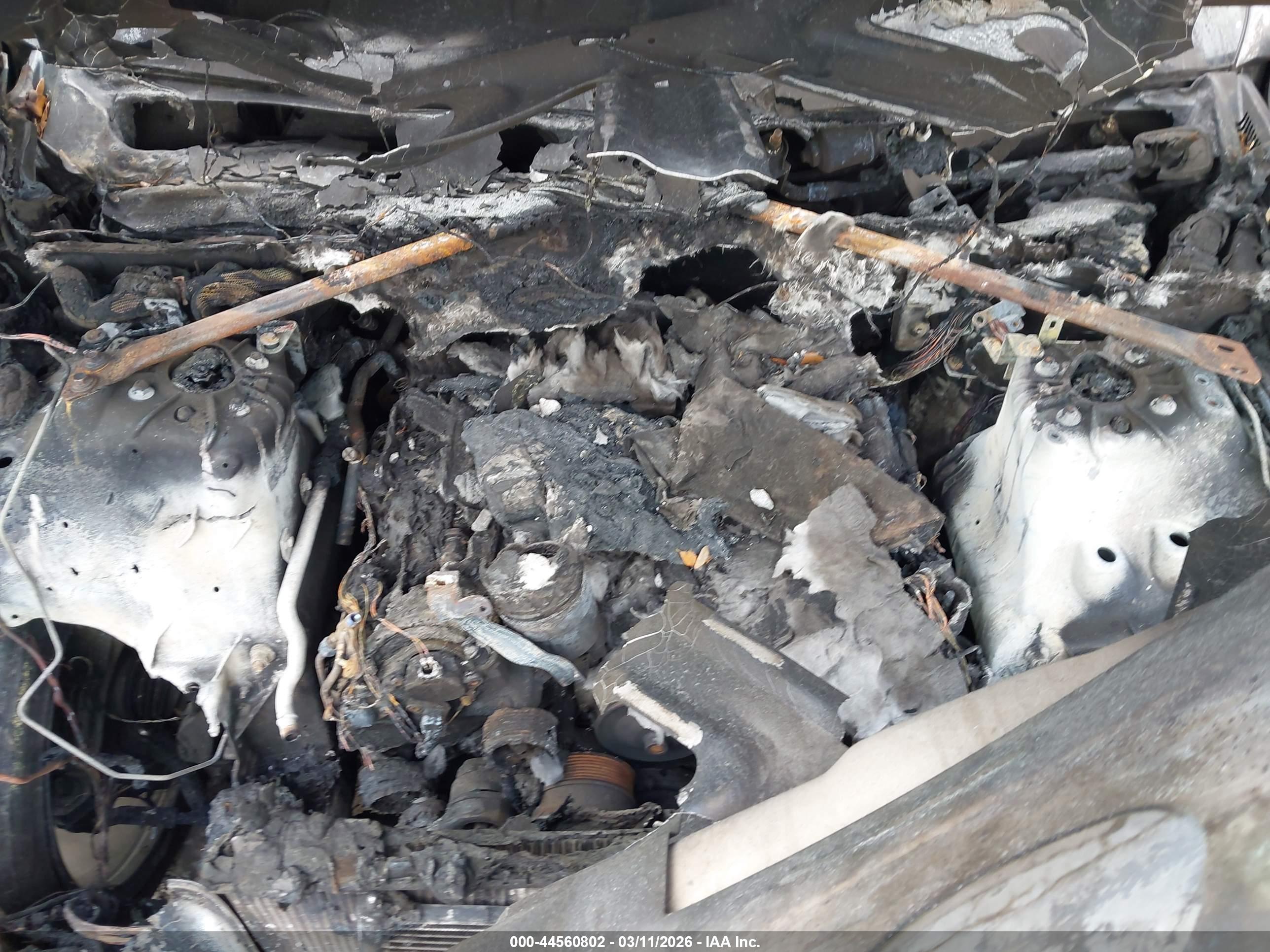 LAND ROVER image 10