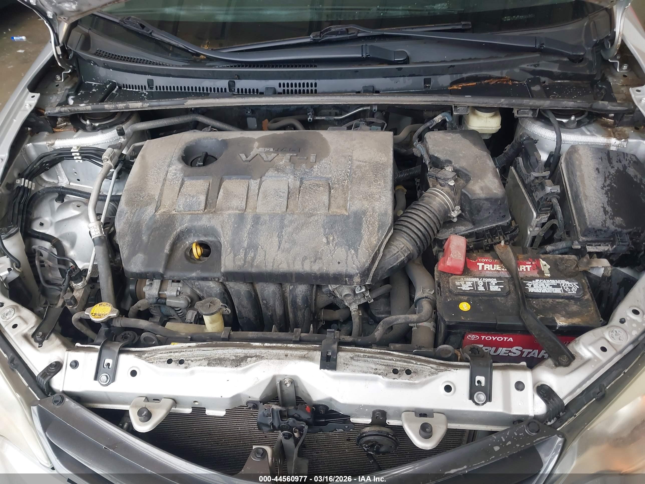 TOYOTA COROLLA image 10