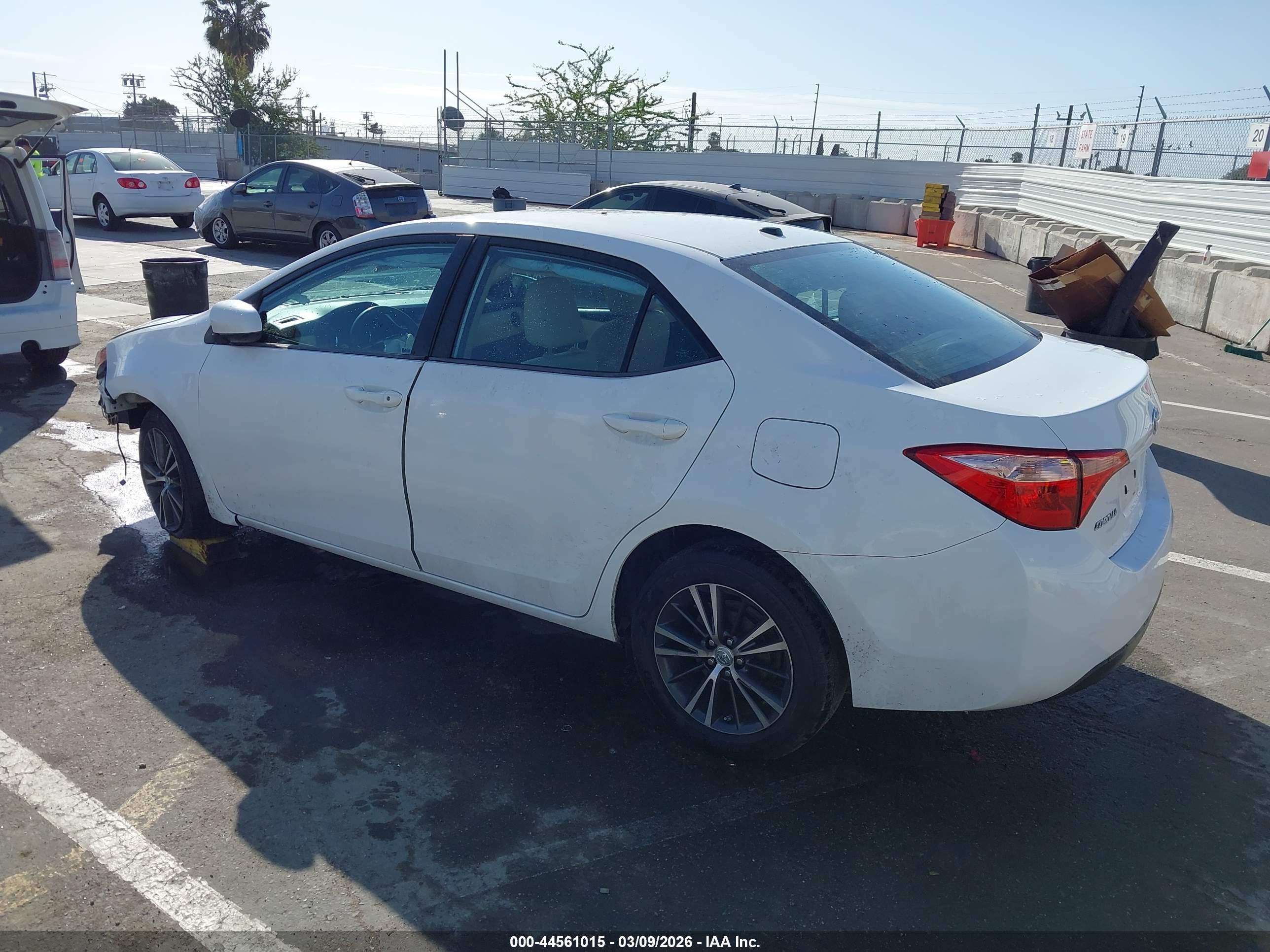 TOYOTA COROLLA image 3