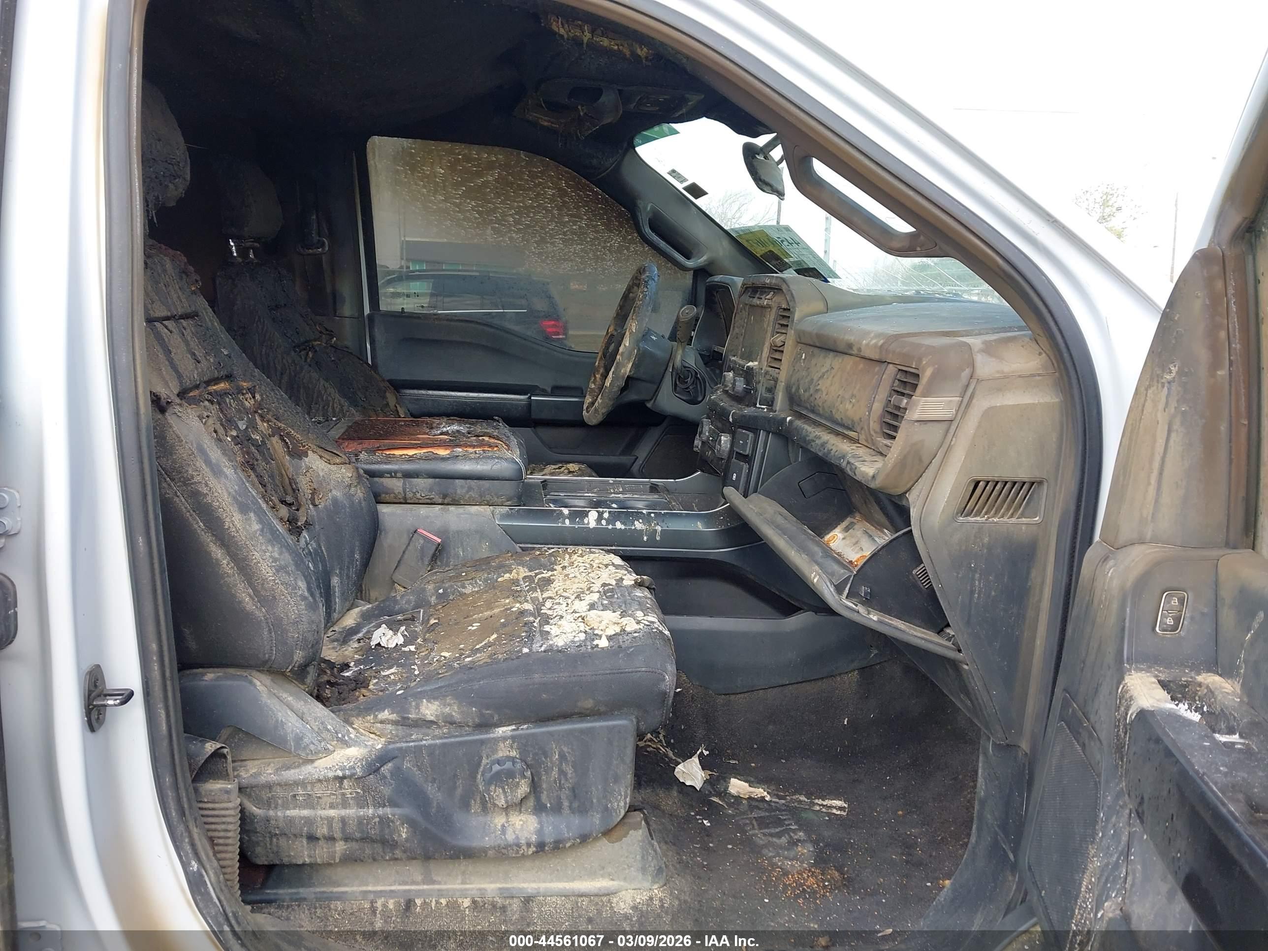 FORD F-150 image 5