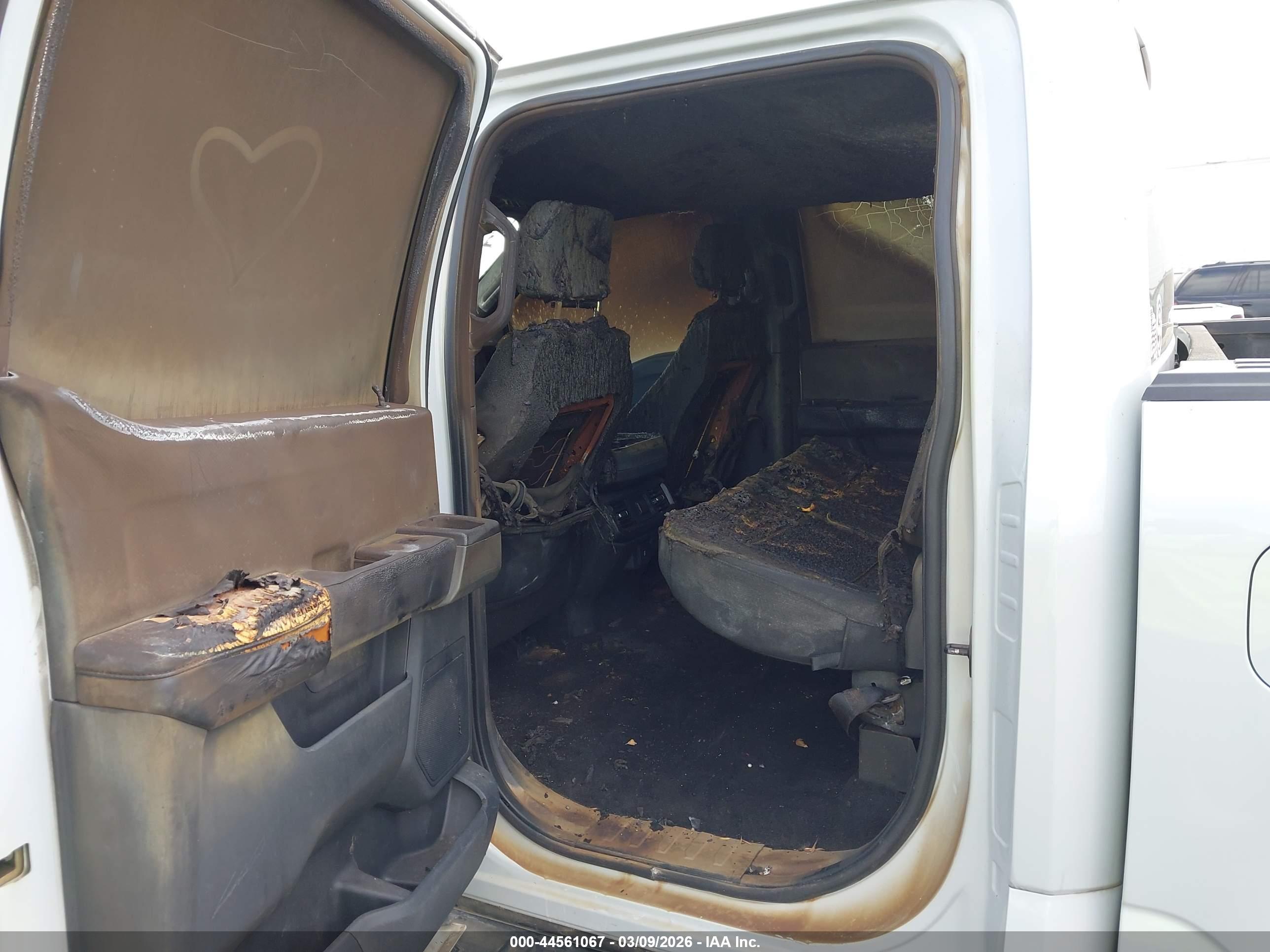 FORD F-150 image 6