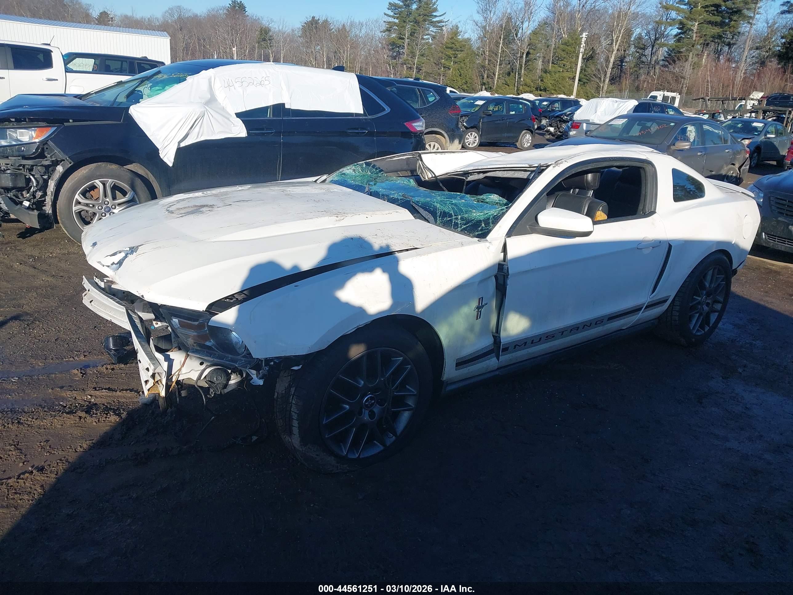 FORD MUSTANG image 2