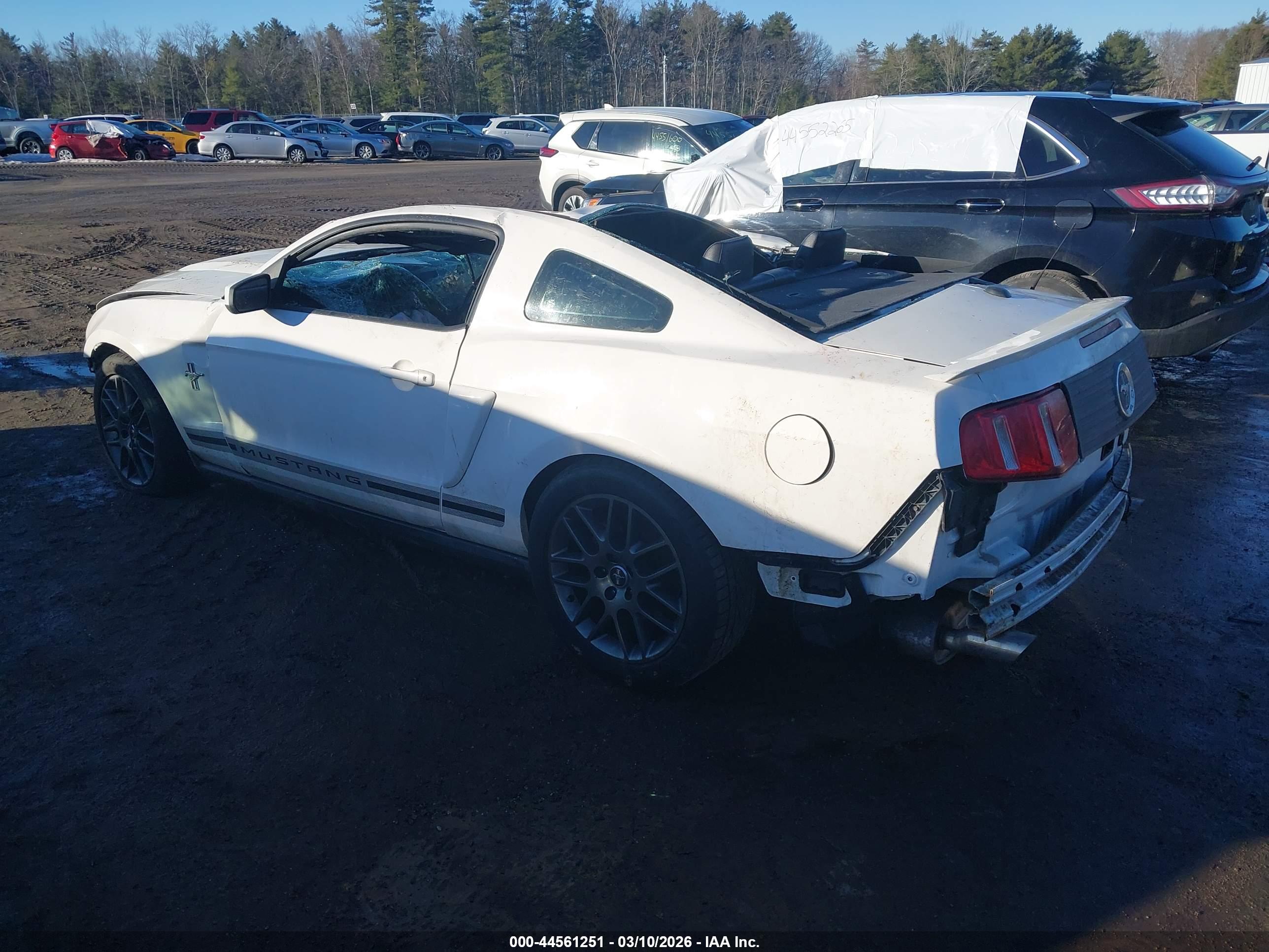 FORD MUSTANG image 3