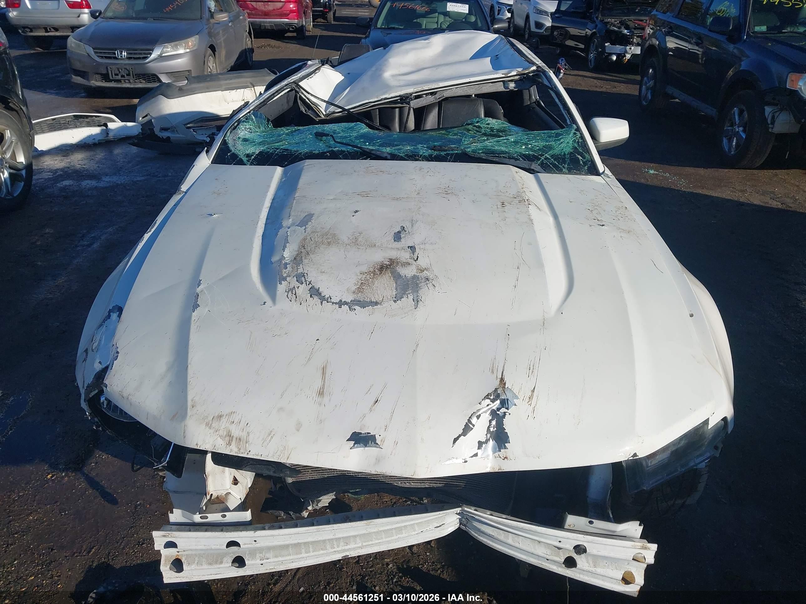 FORD MUSTANG image 6