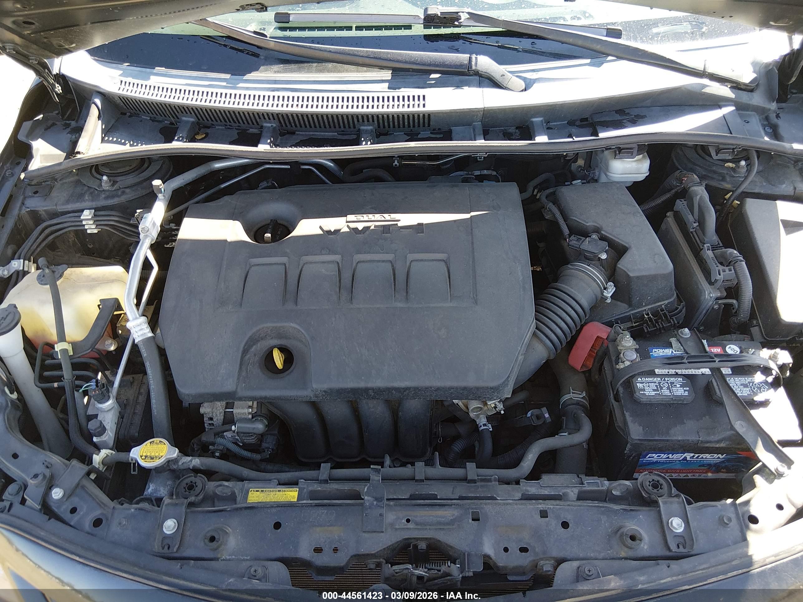 TOYOTA COROLLA image 10