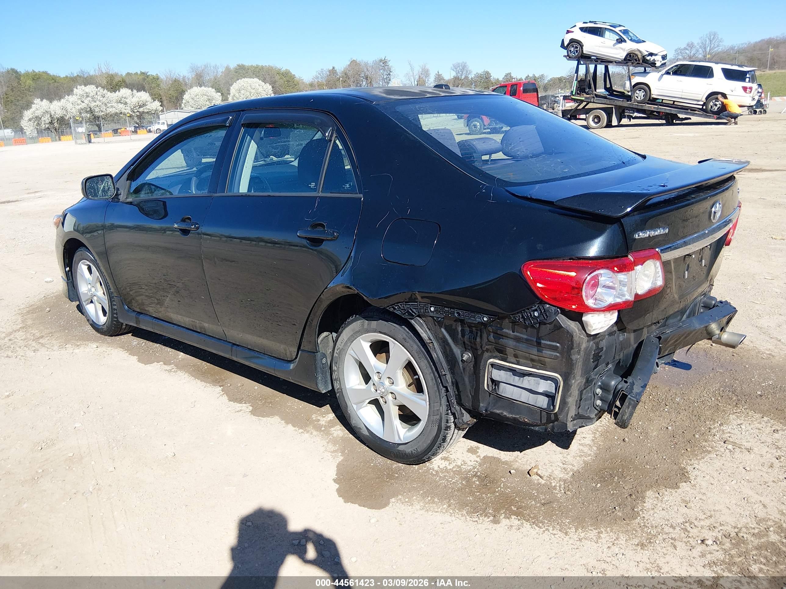 TOYOTA COROLLA image 3
