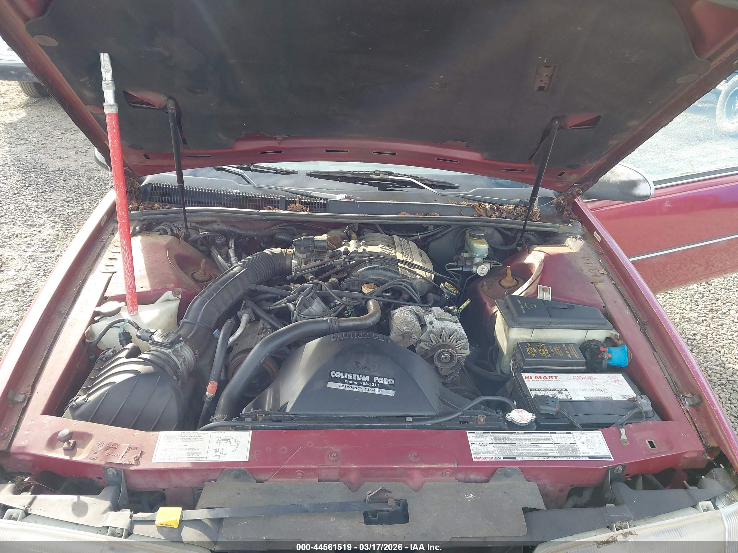 FORD THUNDERBIRD image 10
