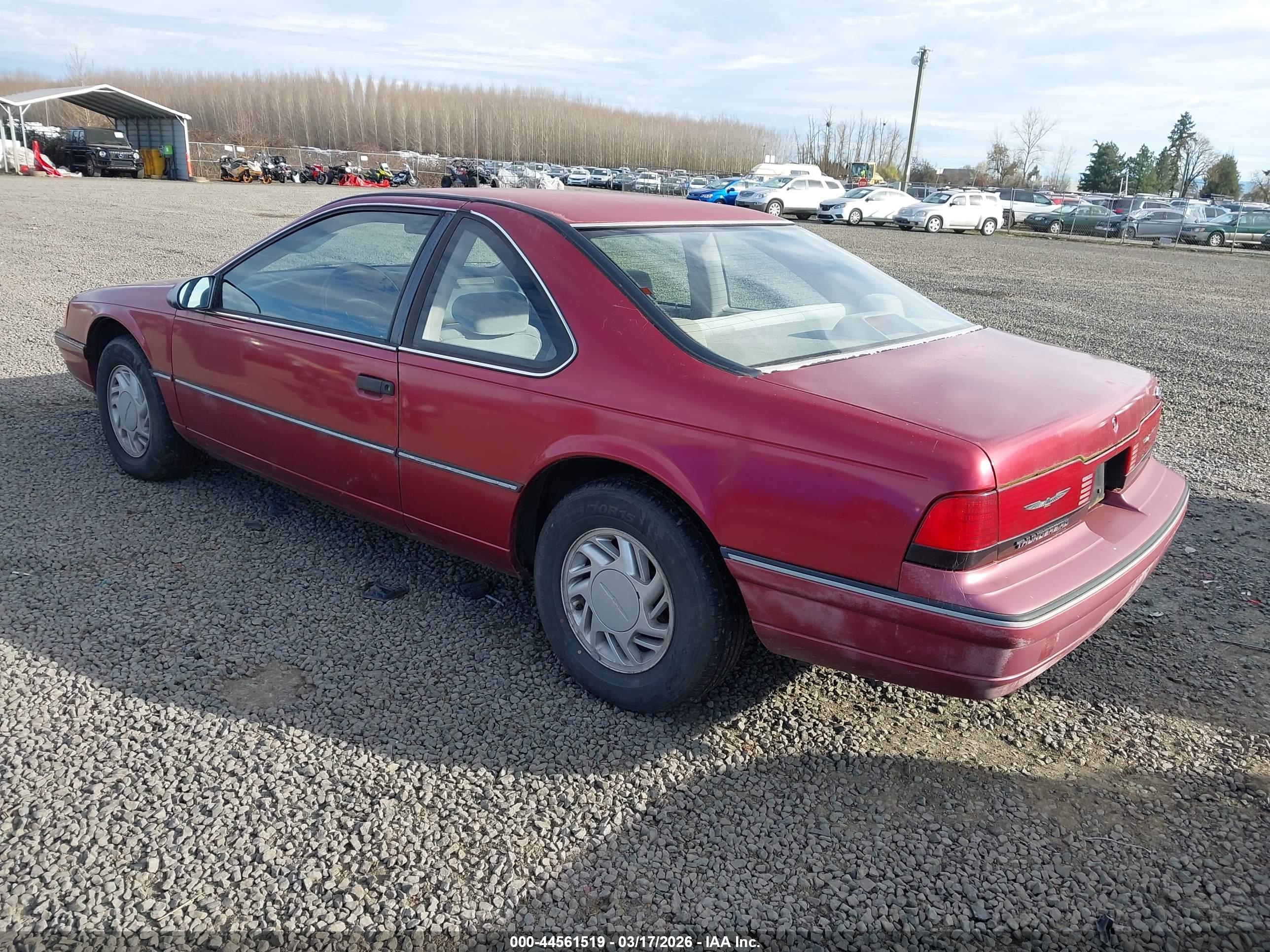 FORD THUNDERBIRD image 3