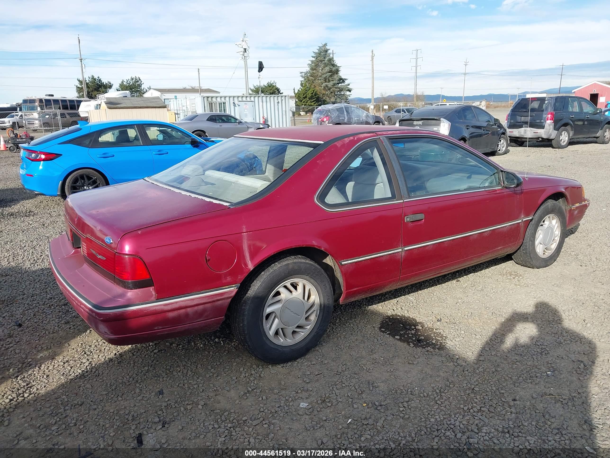 FORD THUNDERBIRD image 4